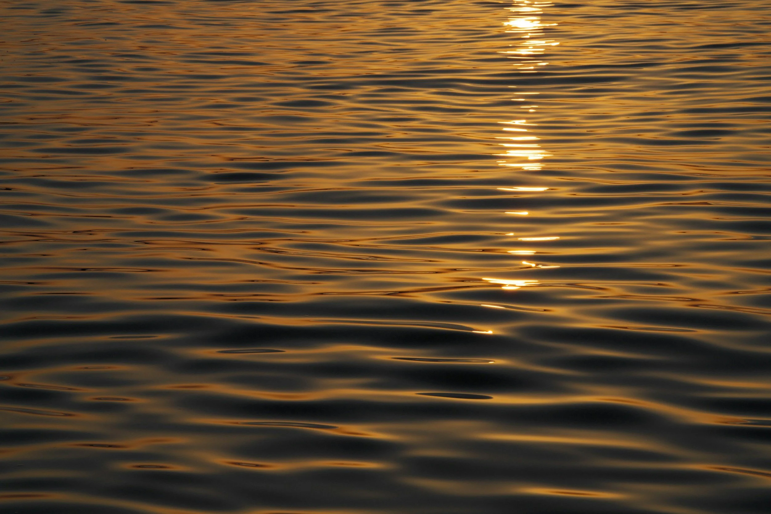 The sun setting over a calm body of water, creating a golden reflection on the rippling surface.