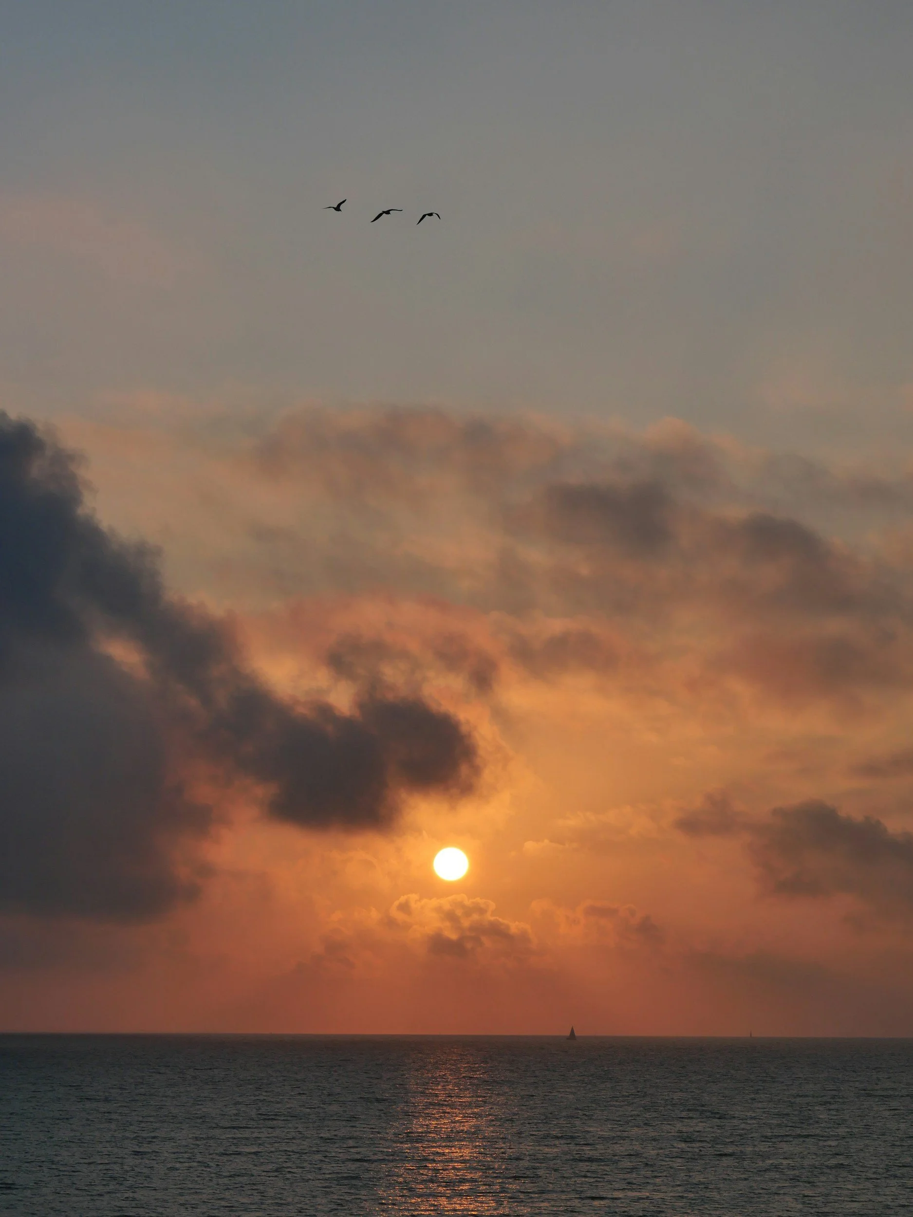 Sunset over the ocean with a partly cloudy sky, three birds flying in the distance, and a small sailboat on the horizon.