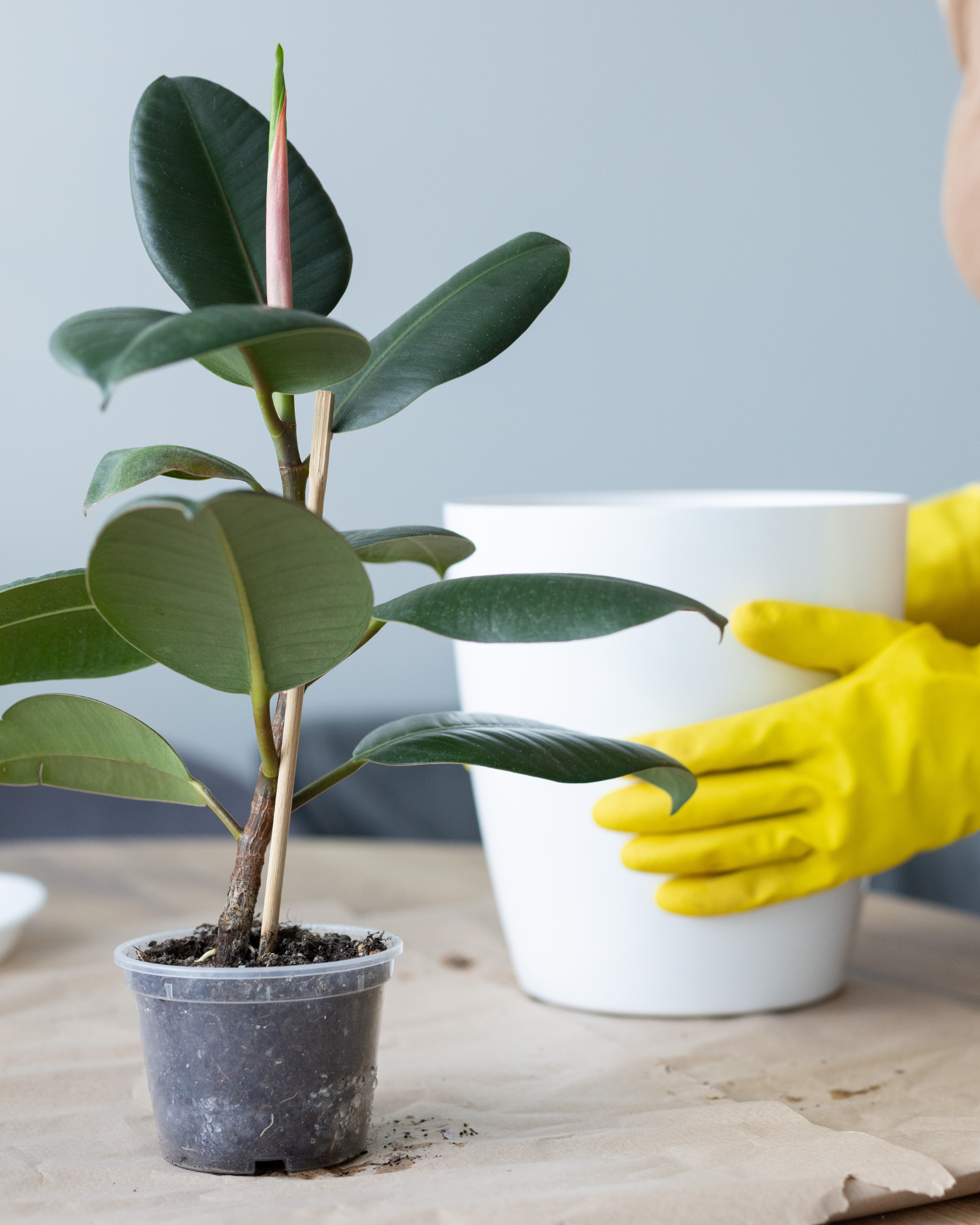 When You Outgrow the Room