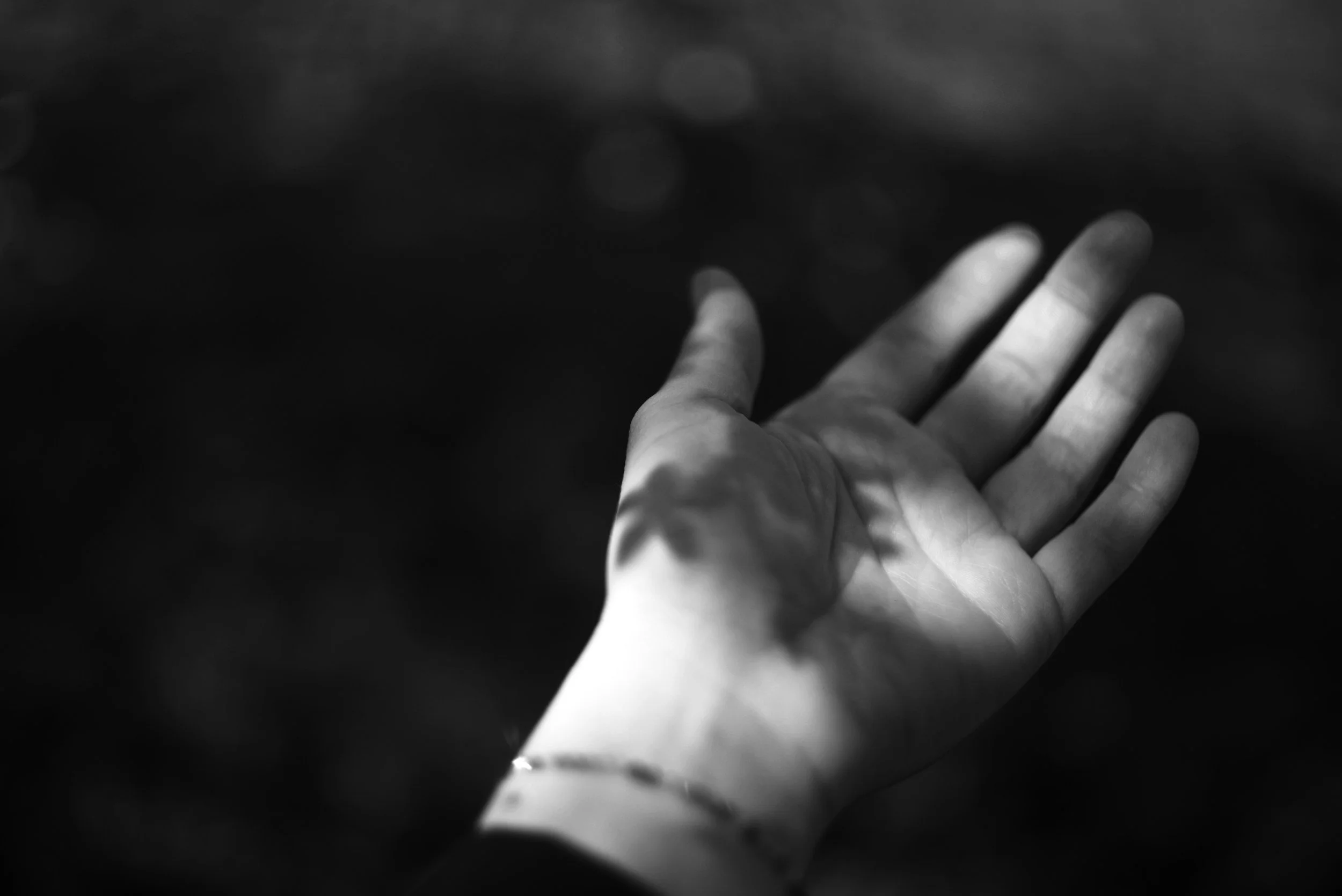 You Will Give Up What You Don't Understand