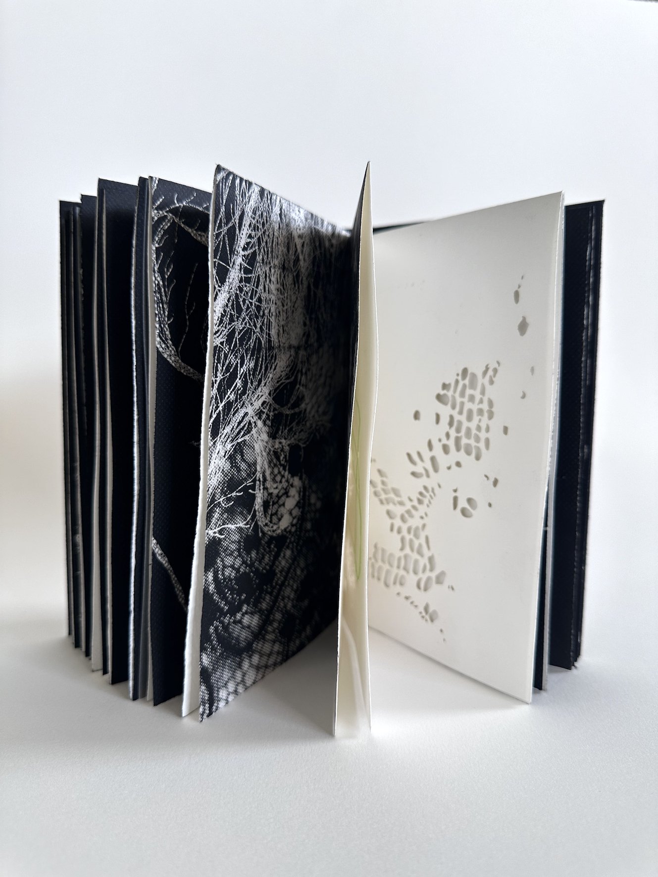 Chant d'Odessa 1.jpg