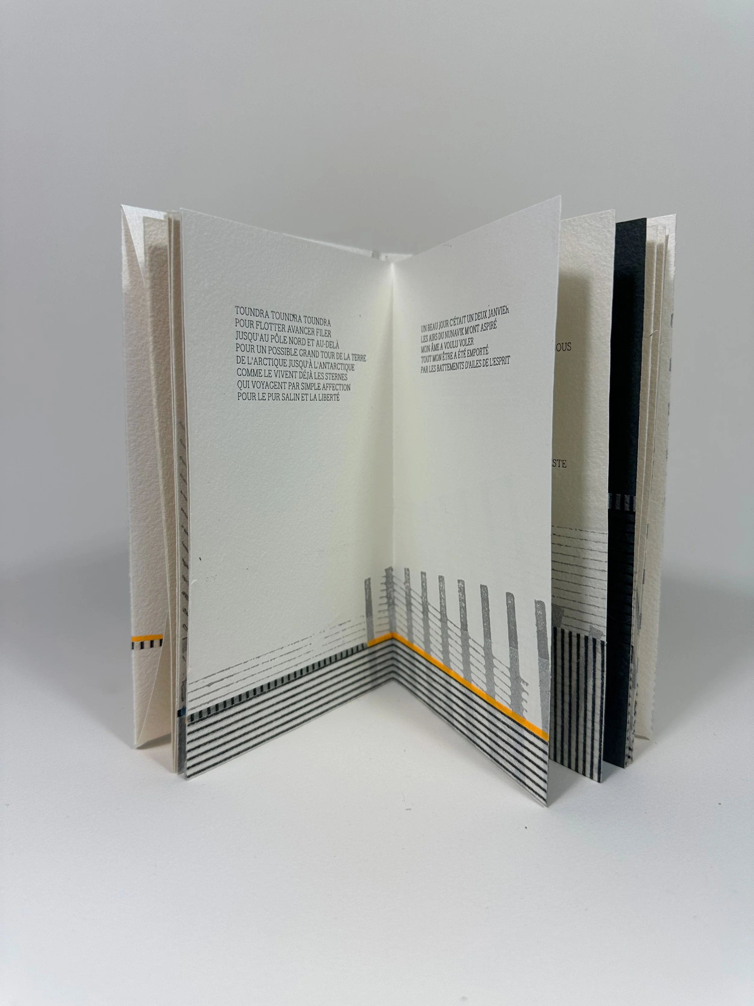 Pays-toundra⎥Tundraland