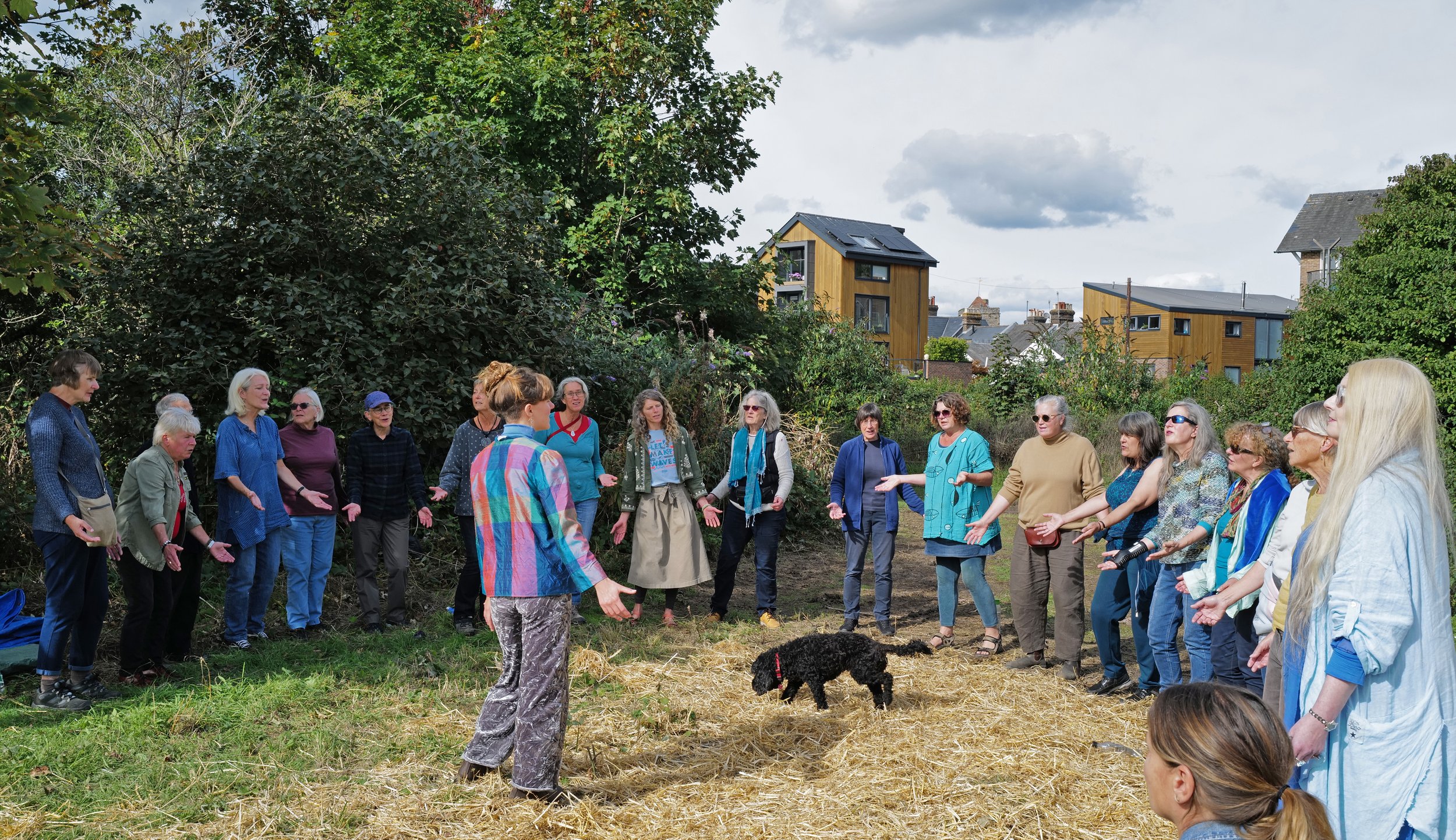 A group of people stands in a circle outdoors on a grassy area with straw, participating in a activity, with a black dog in the center. There are trees and modern houses in the background.