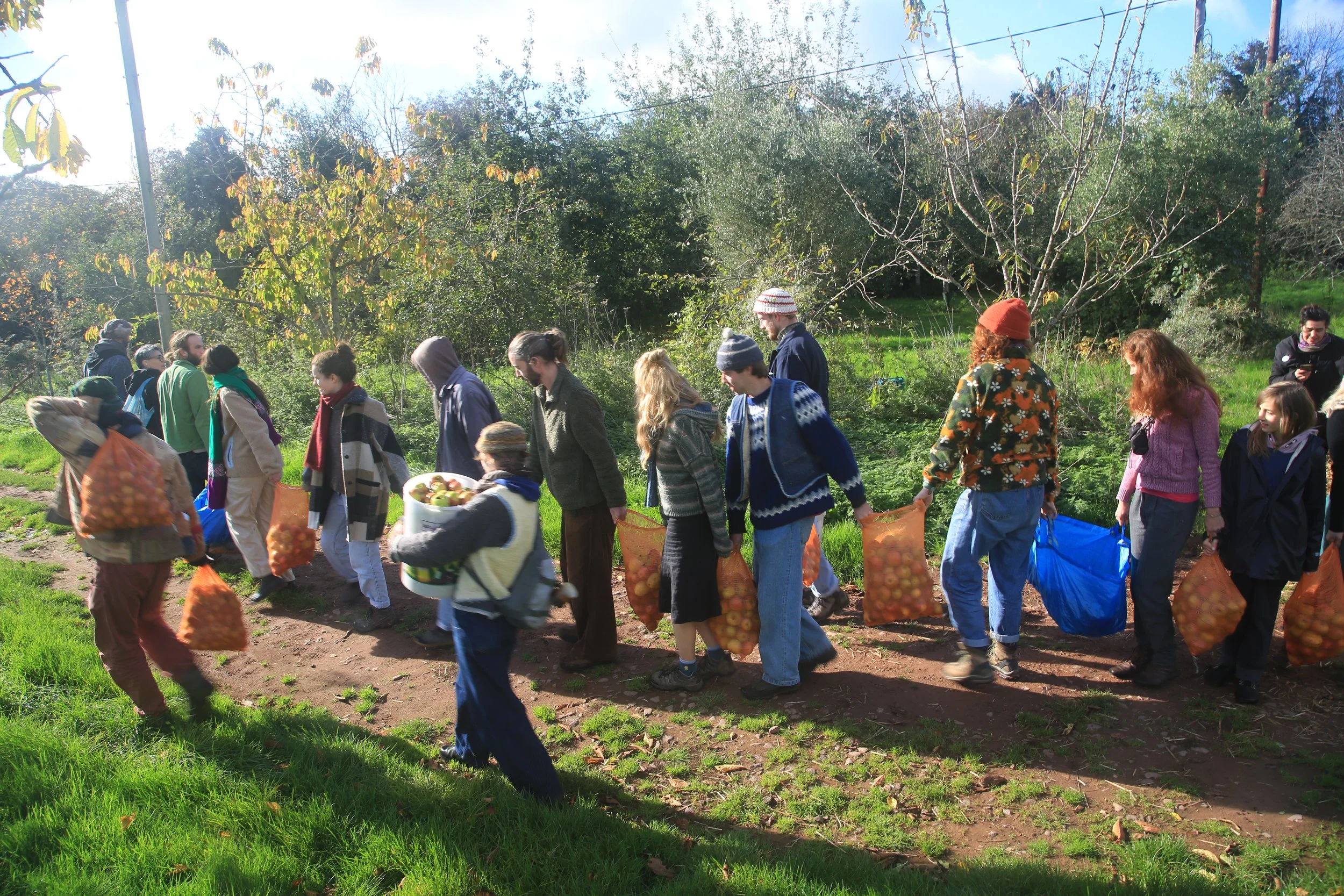 People walking outdoors with bags of apples in a green, tree-filled area on a sunny day.
