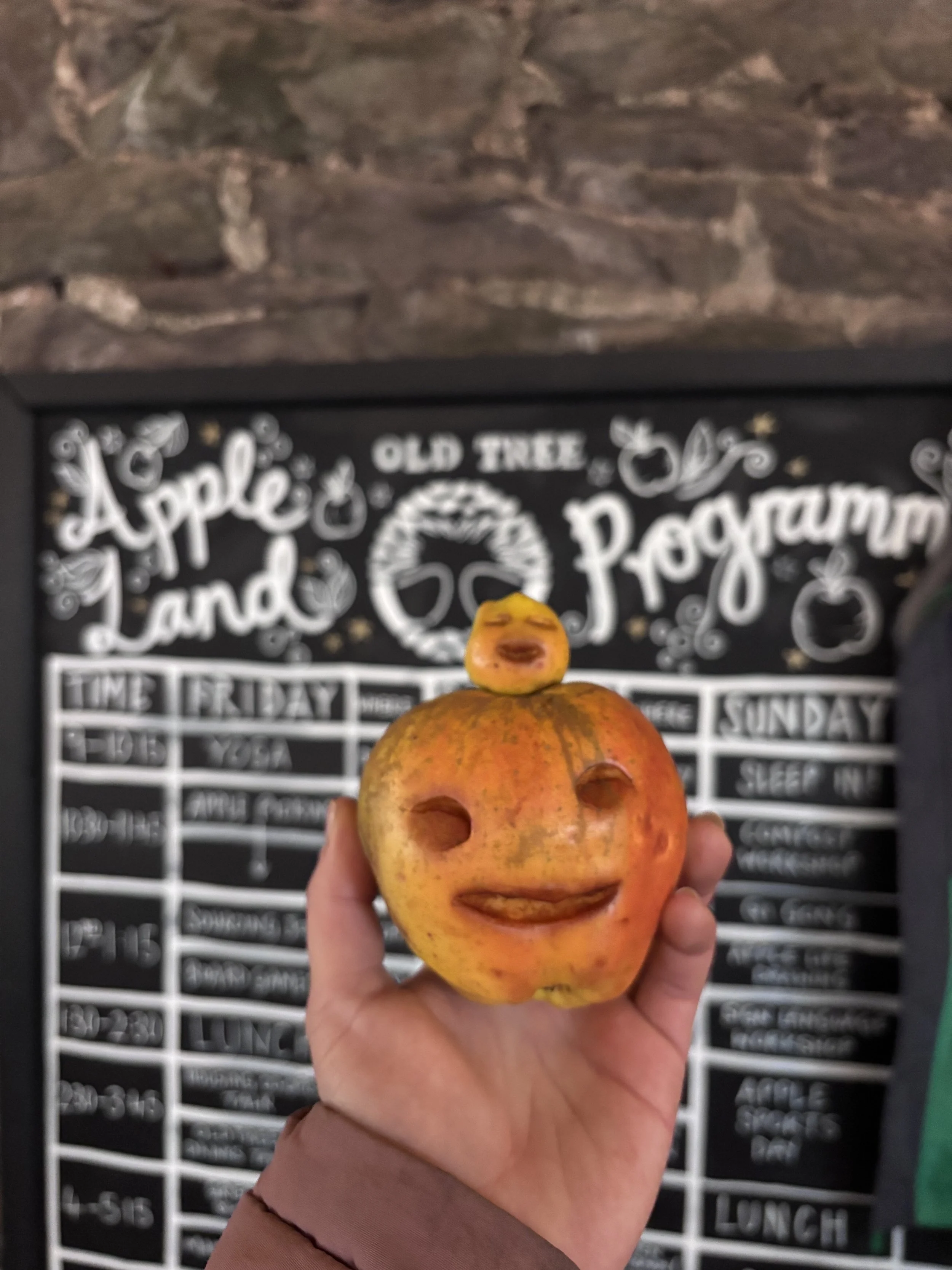 A hand holding a carved apple with a face and a smaller face on top of it, resembling a smiling frog or creature, in front of a blackboard with writing about apple land and program schedules.
