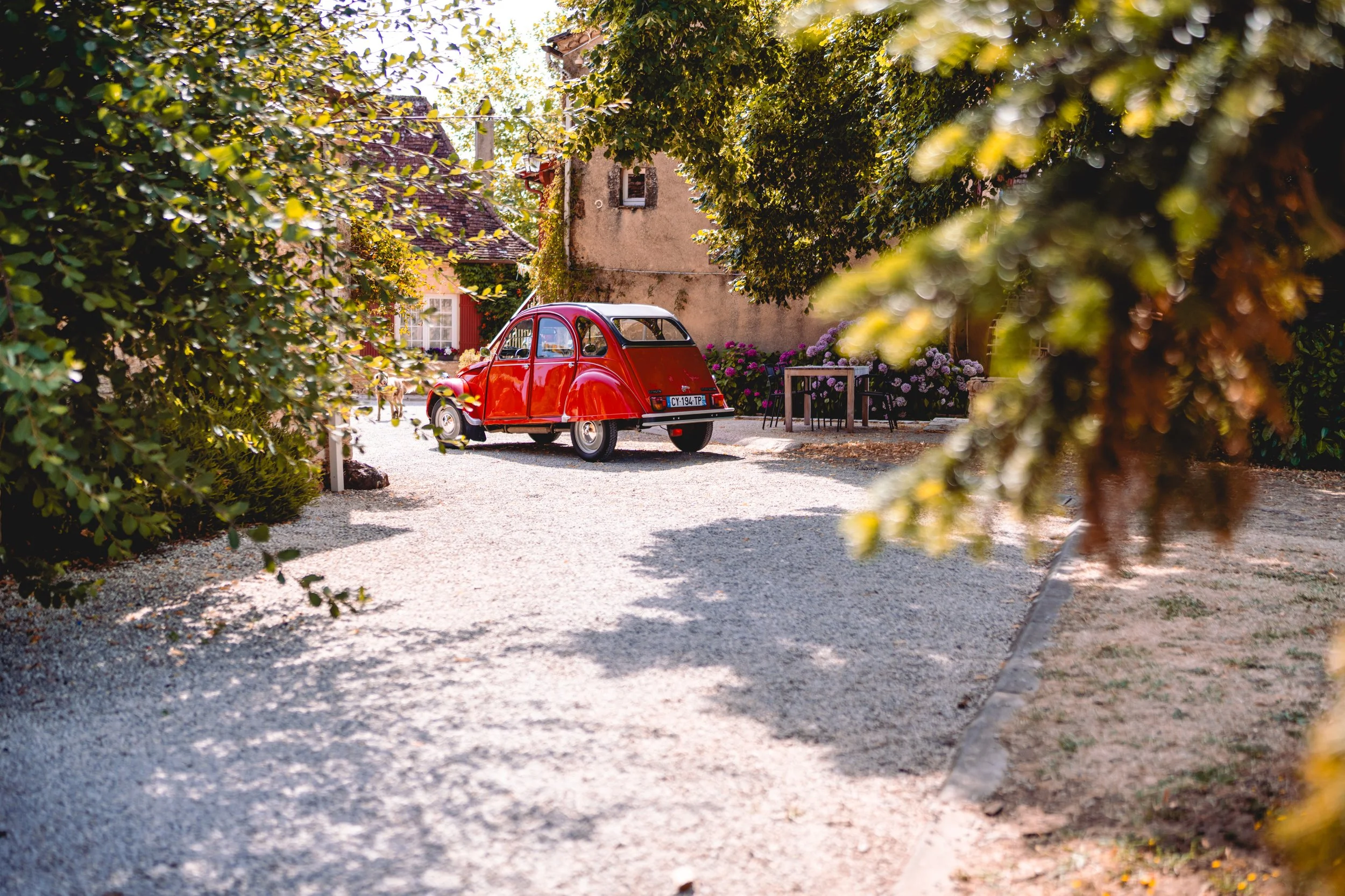 2025-07-05 Melinda & Fab-29.jpg