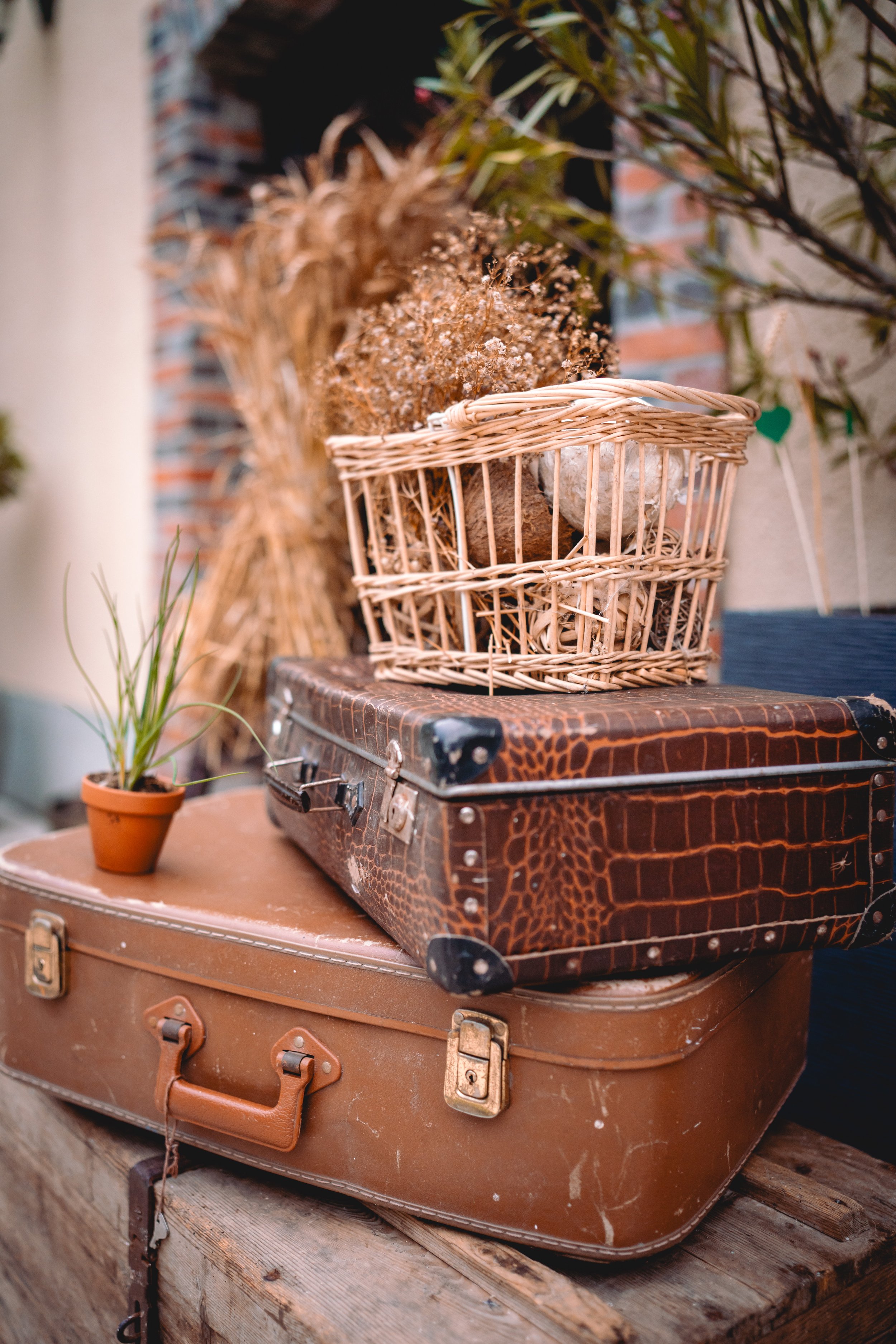 Emilie & Anthony-393.jpg