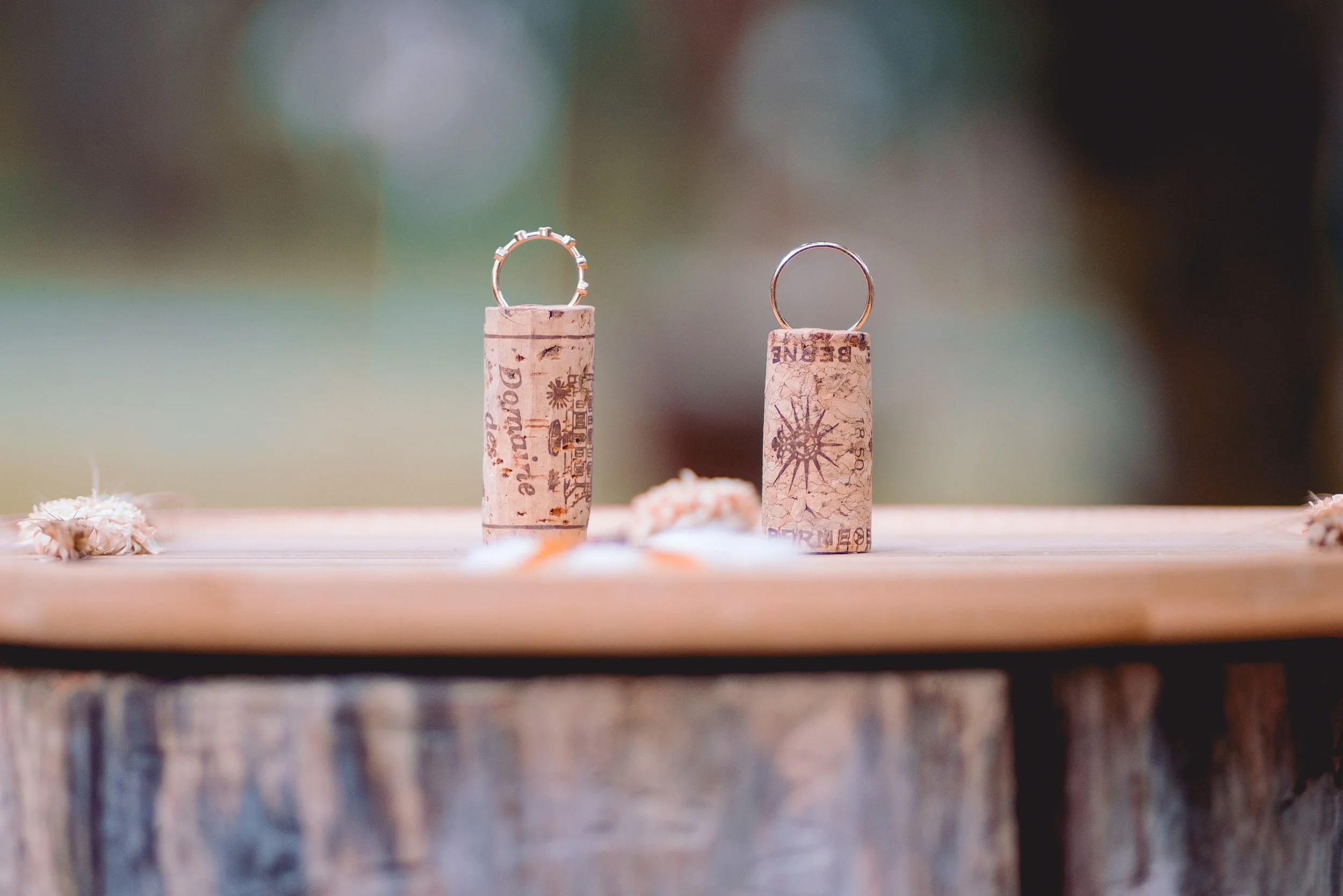 Emilie & Anthony-157.jpg