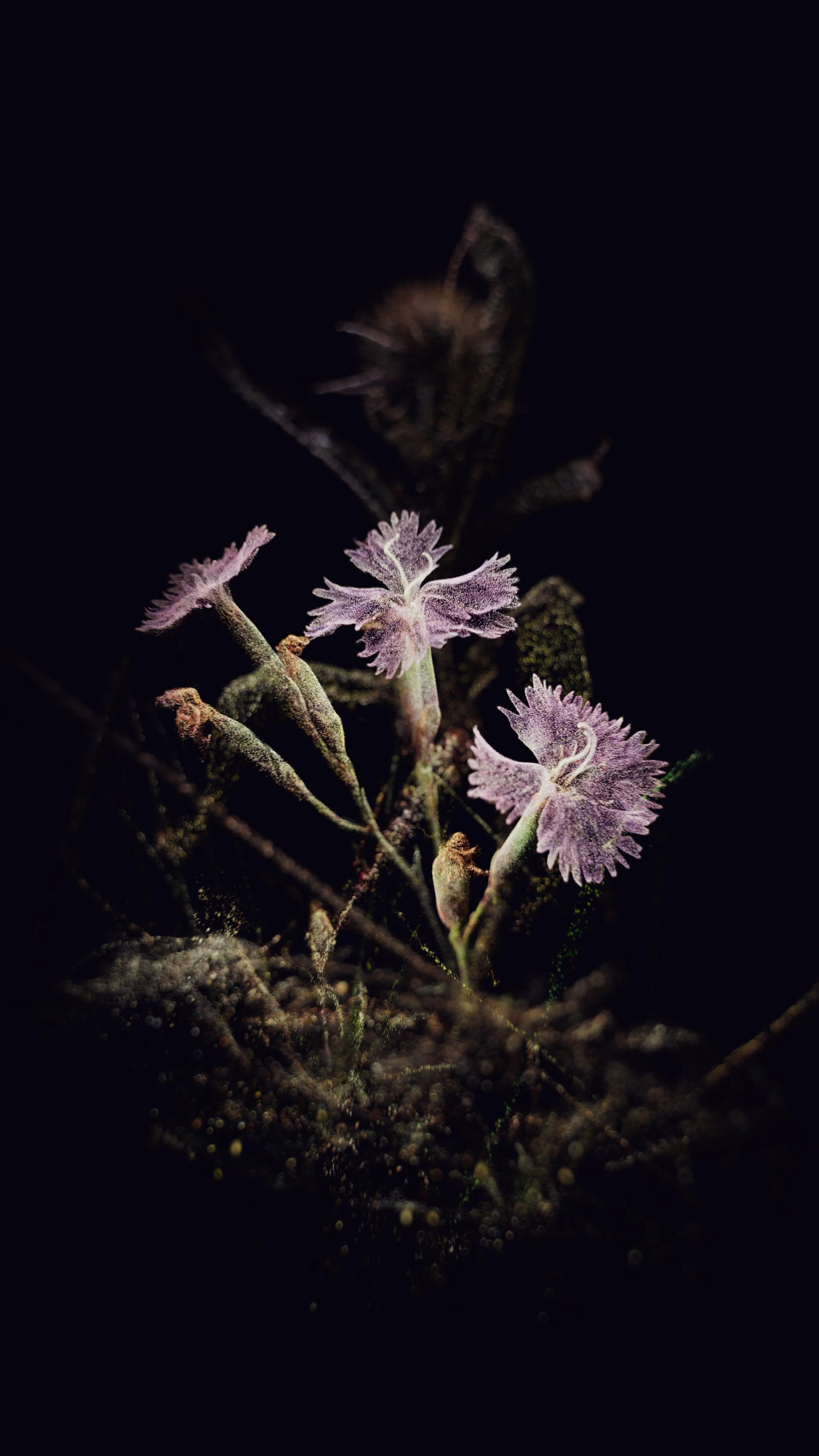 FLUX image.jpg