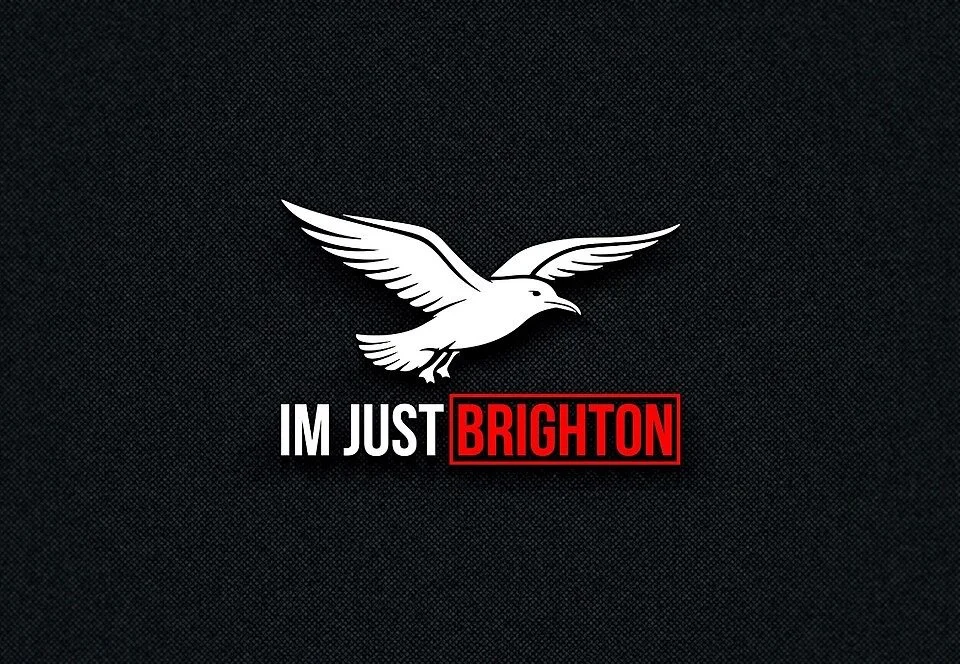 ImJustBrighton logo, a white flying seagull above the words IM JUST in white and BRIGHTON in a red box, on a dark textured background