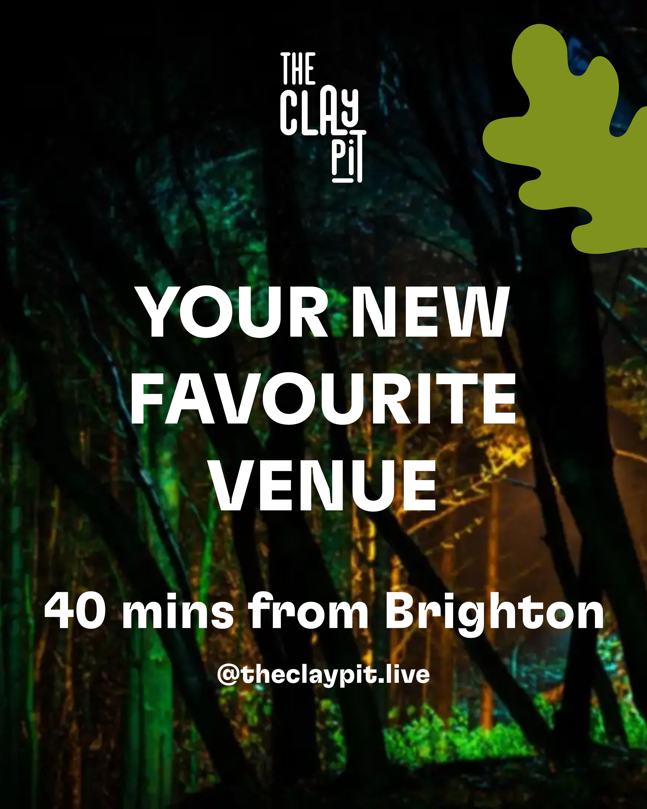 The Clay Pit woodland venue lit up at night through the trees