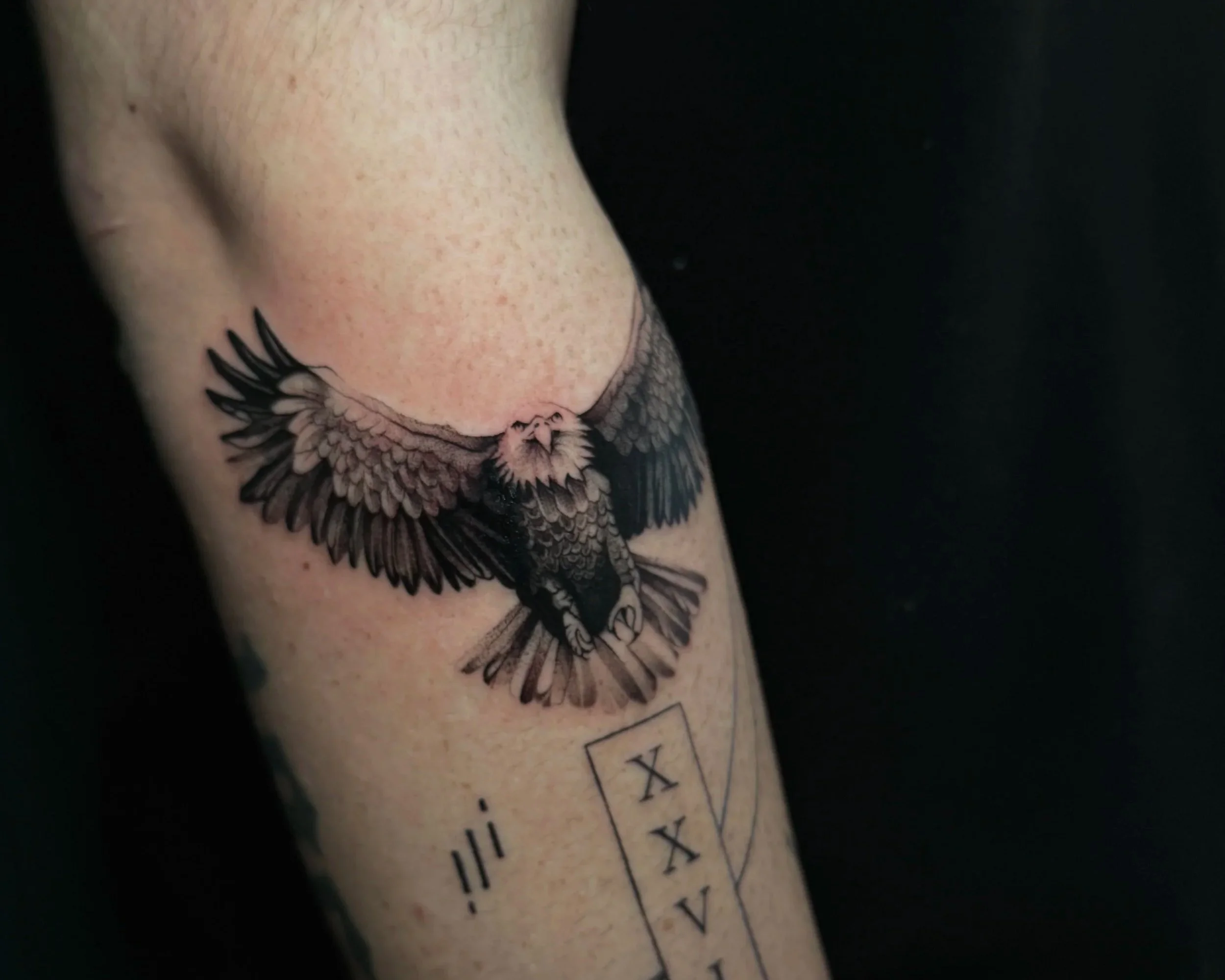 Black and grey forearm tattoo of an eagle in flight with outstretched wings, above Roman numerals, in fine detailed shading