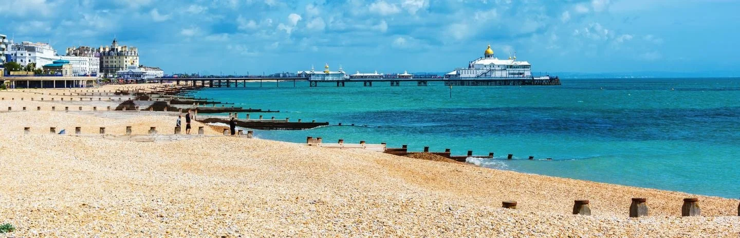 £564k secured to explore bus reform across Sussex and Brighton