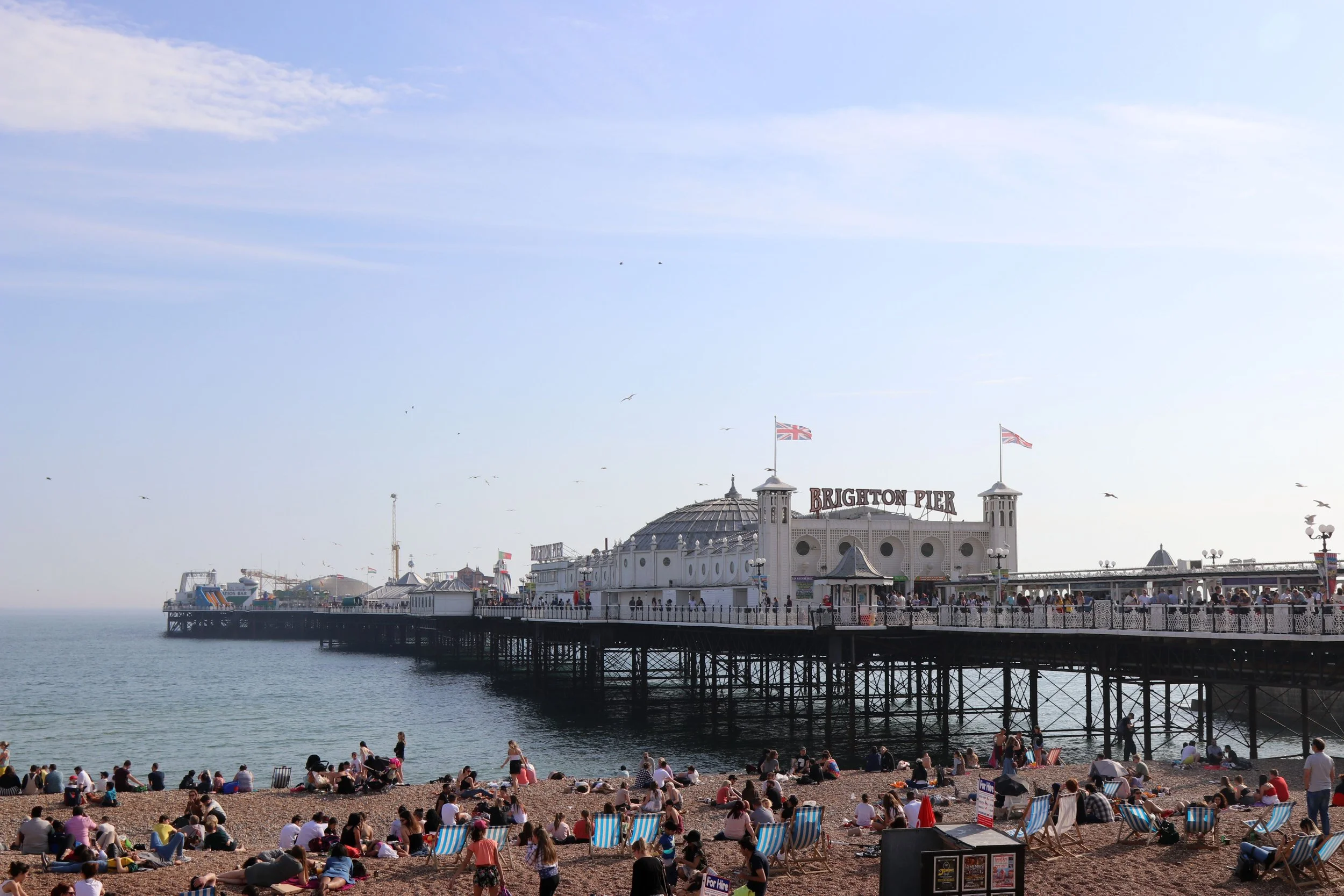 20 Tonnes of Rubbish Cleared From Brighton Seafront in One Weekend as Council Urges Beachgoers to Clear Up