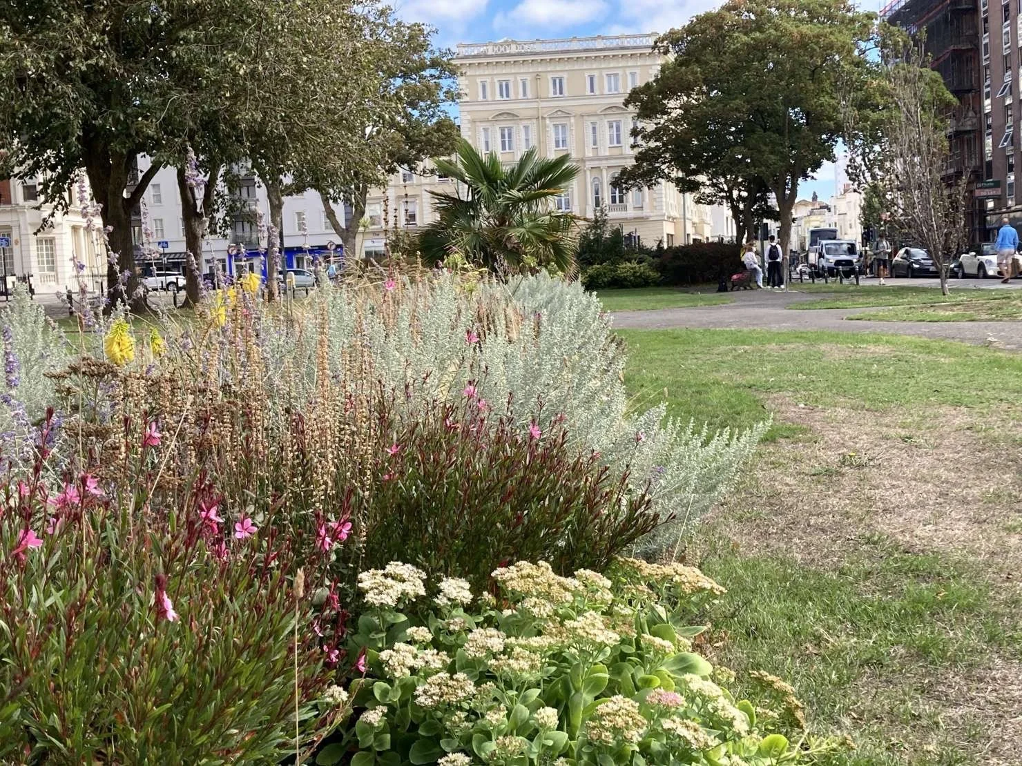 Close-up of Mediterranean planting scheme in Palmeira Square showing pink gaura, silver artemisia, and white sedum with Regency buildings visible in the background