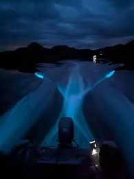Nighttime view of an illuminated water slide with blue lights and a boat in the water.