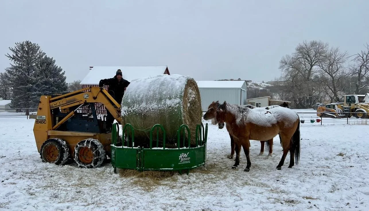 feeding time in snow.JPG