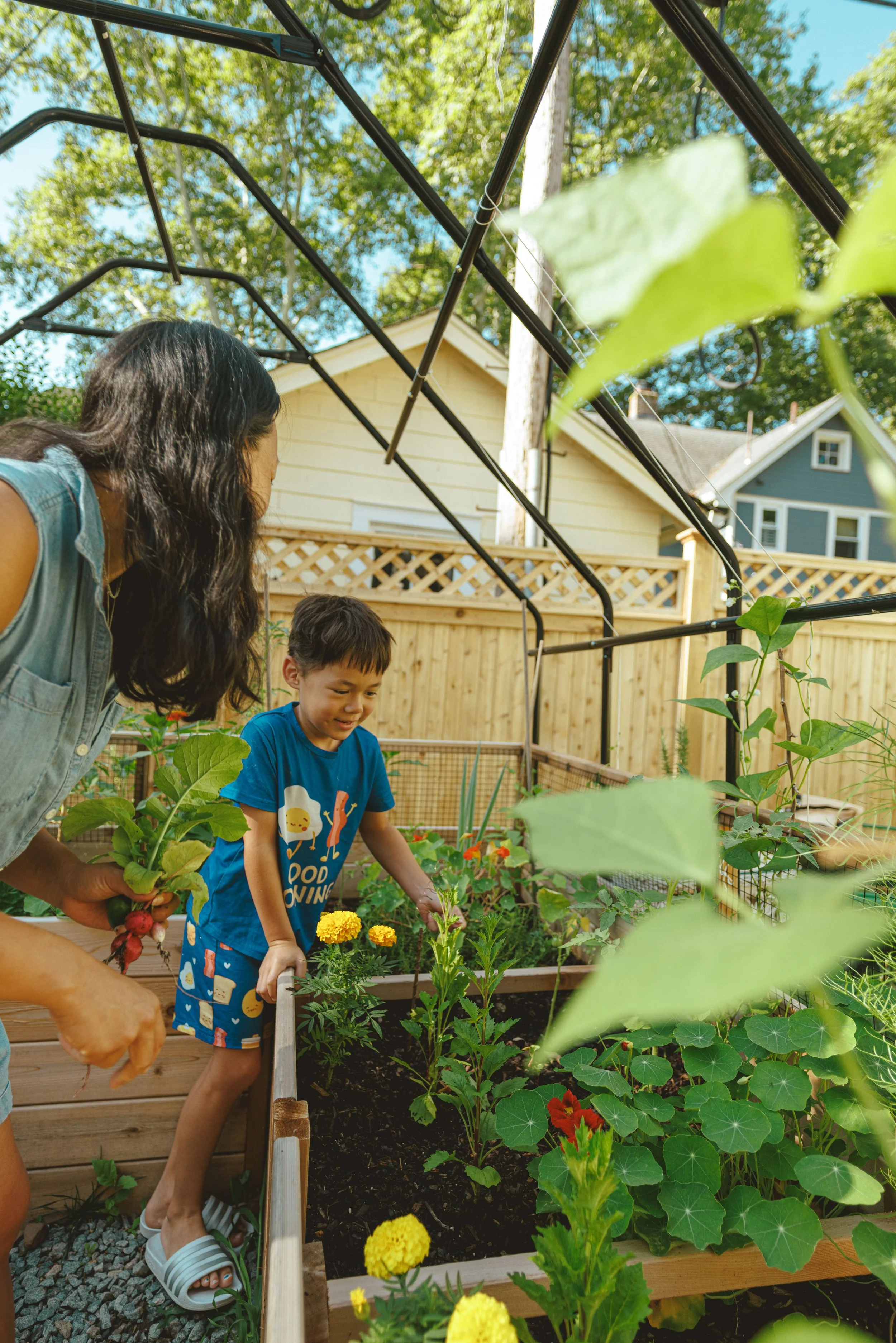 The Soil Rookie Garden