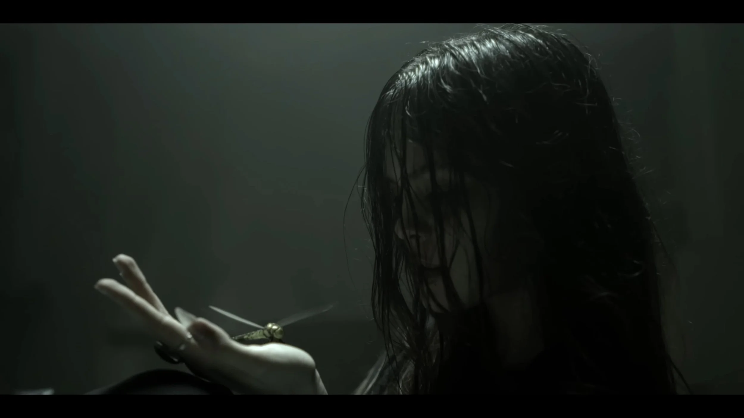 A person with wet, dark hair in a dark room, holding a dragonfly on their hand, with a dim, moody lighting setting.