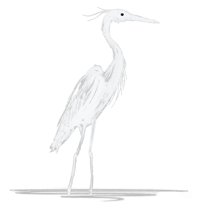A black and white illustration of a heron standing in shallow water. This is the Mad Heron Logo.