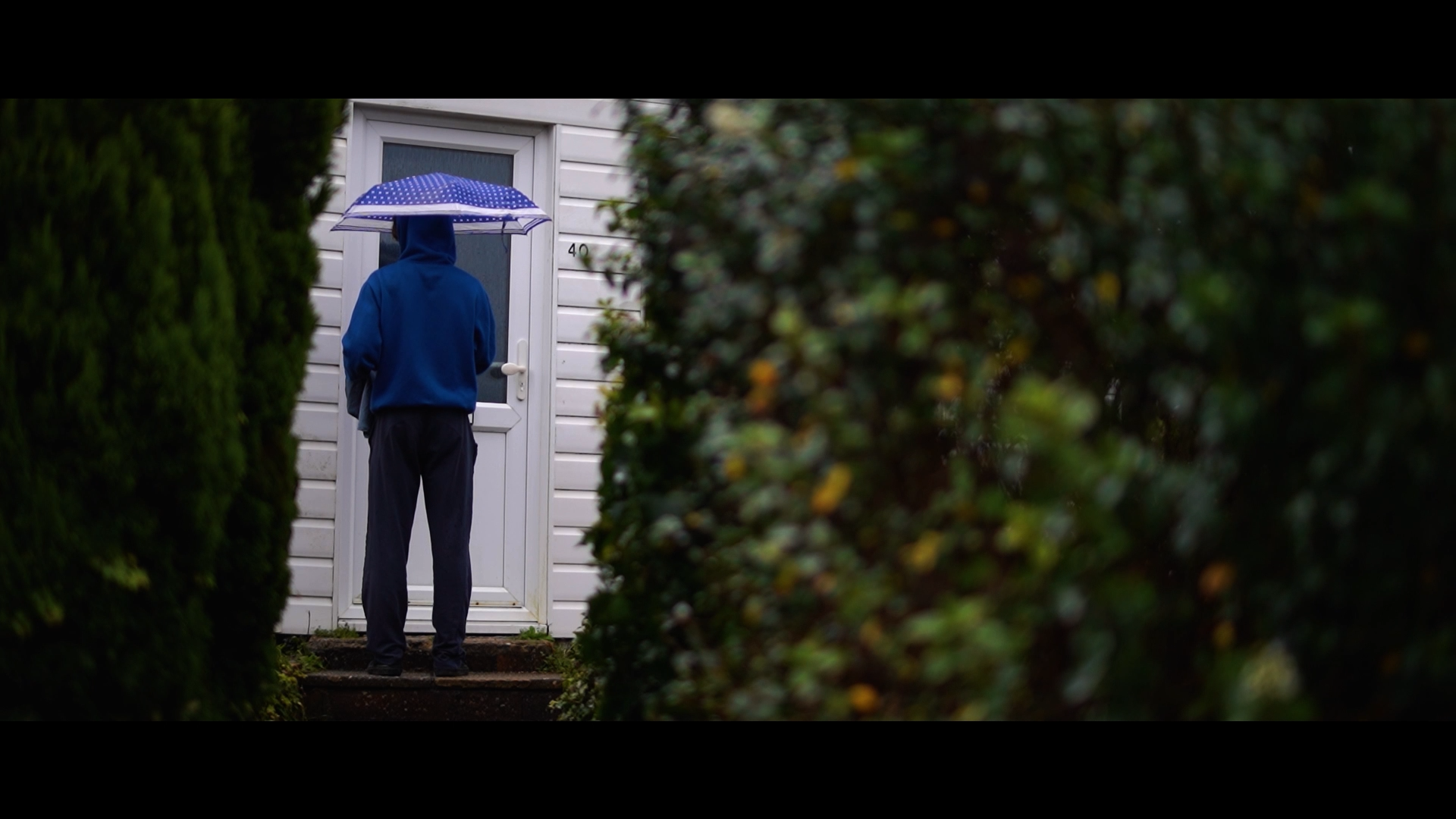 Person standing at the door of a house holding a blue and white polka dot umbrella, viewed from behind, with bushes on either side.