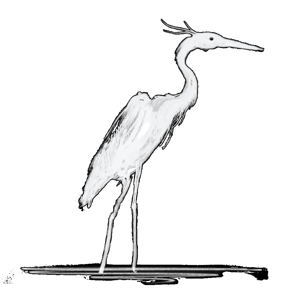 Black and white illustration of a heron standing on one leg, with a long neck and beak, and tall, thin legs, against a plain background. This is the Mad Heron Logo.