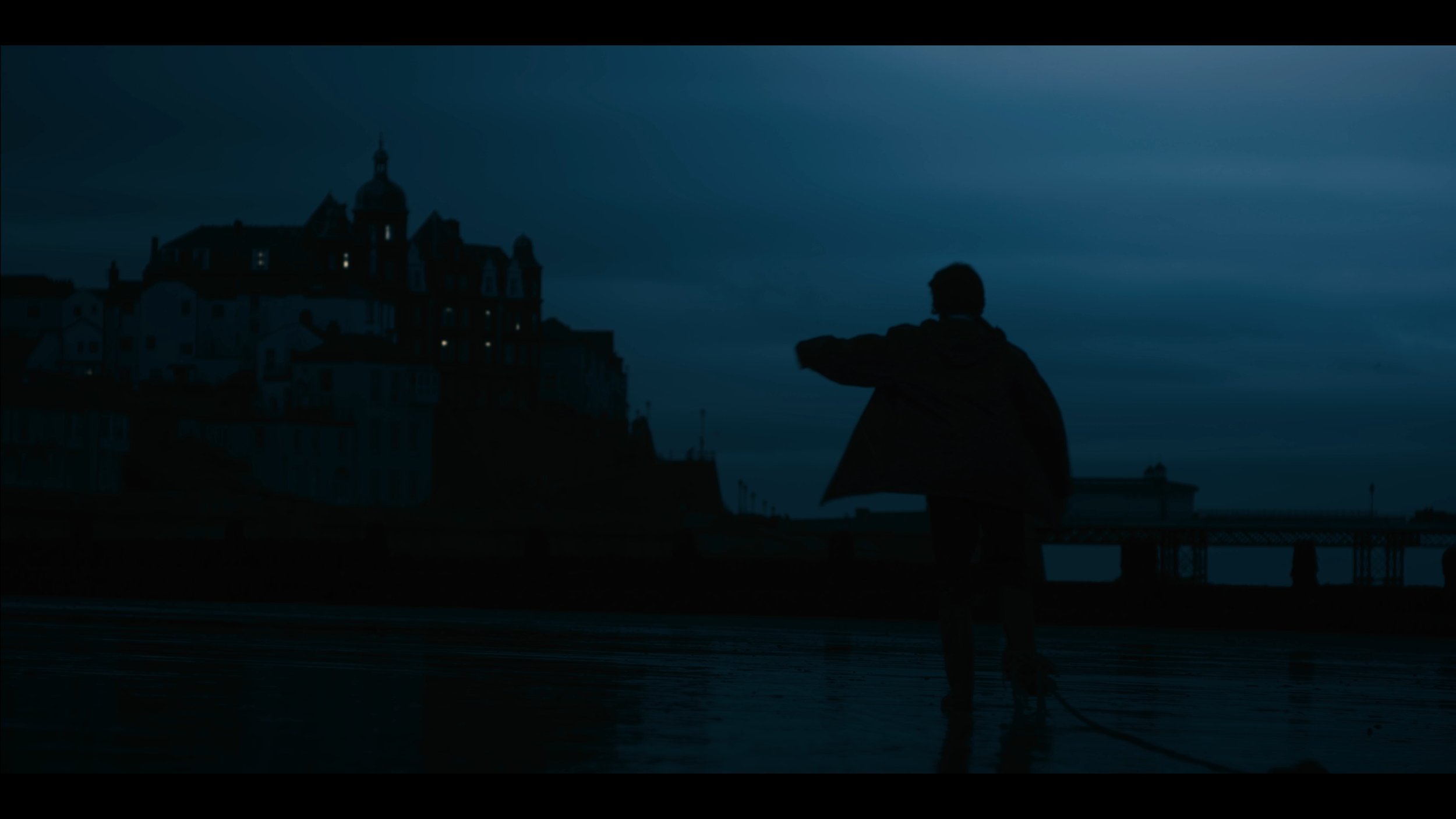 Silhouette of a person standing on a waterfront, pointing towards a dark, cloudy sky and a silhouette of a city on a hill with buildings and a prominent domed structure, during dusk or early evening.