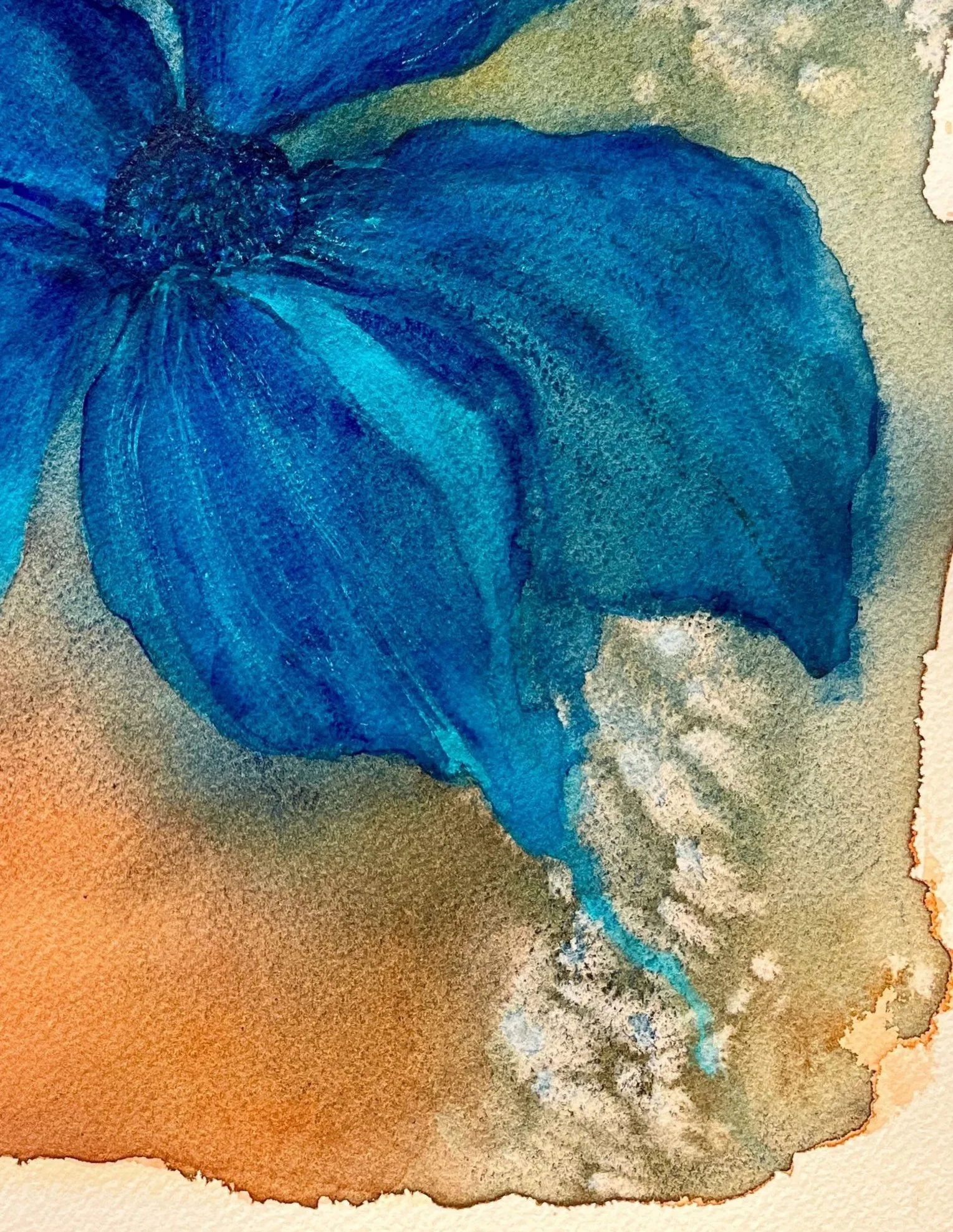 Kelly_Benedict_State+of+Blue_2026.jpg