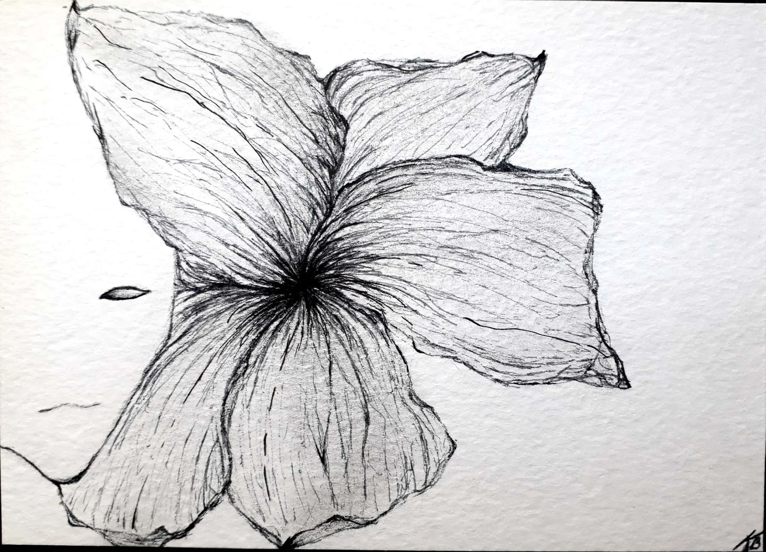 Untitled_21_ink_flower_close_up.jpg