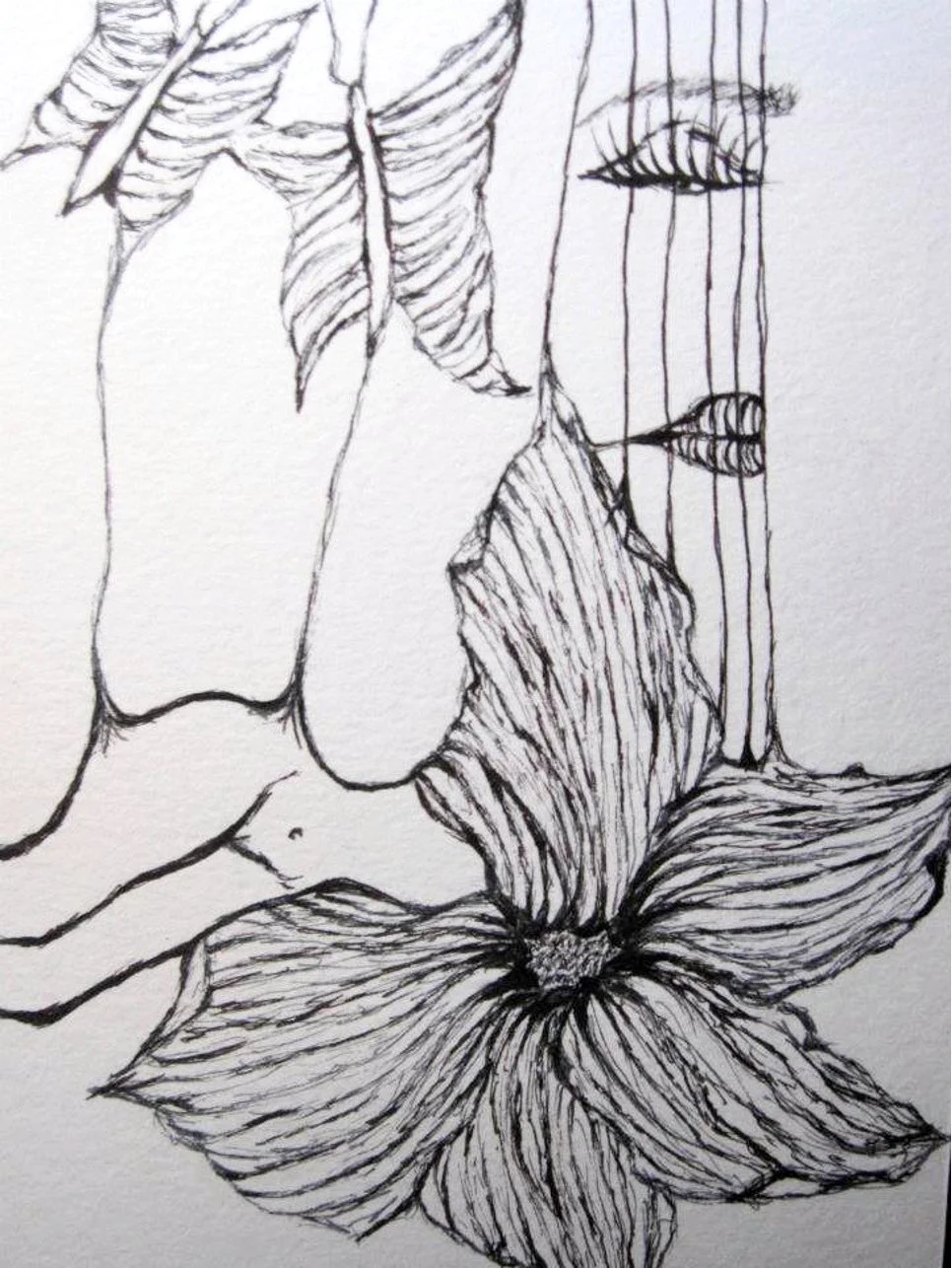 butterfly pulling body.jpg
