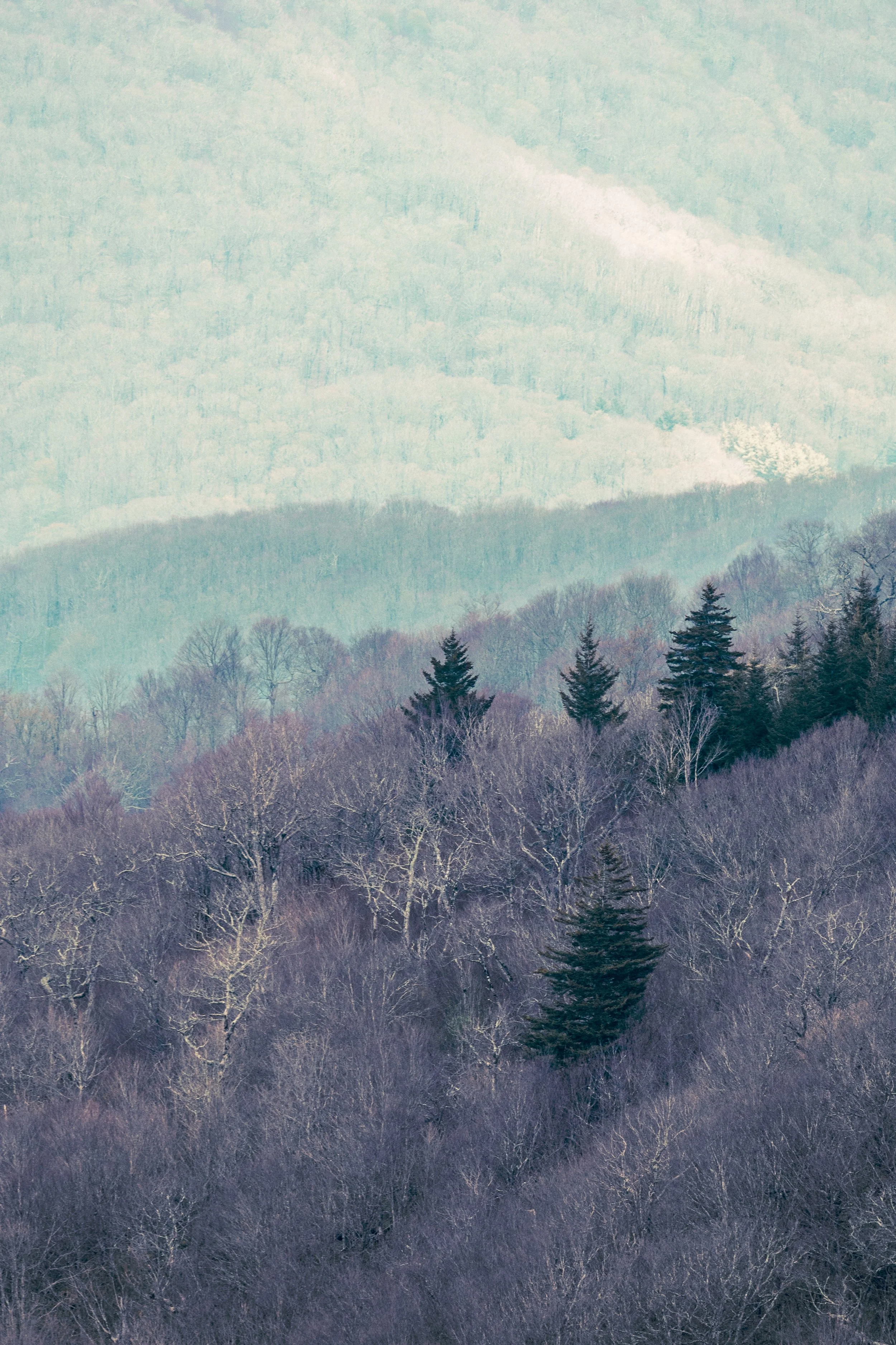 Mountains Spring 26_107.jpg