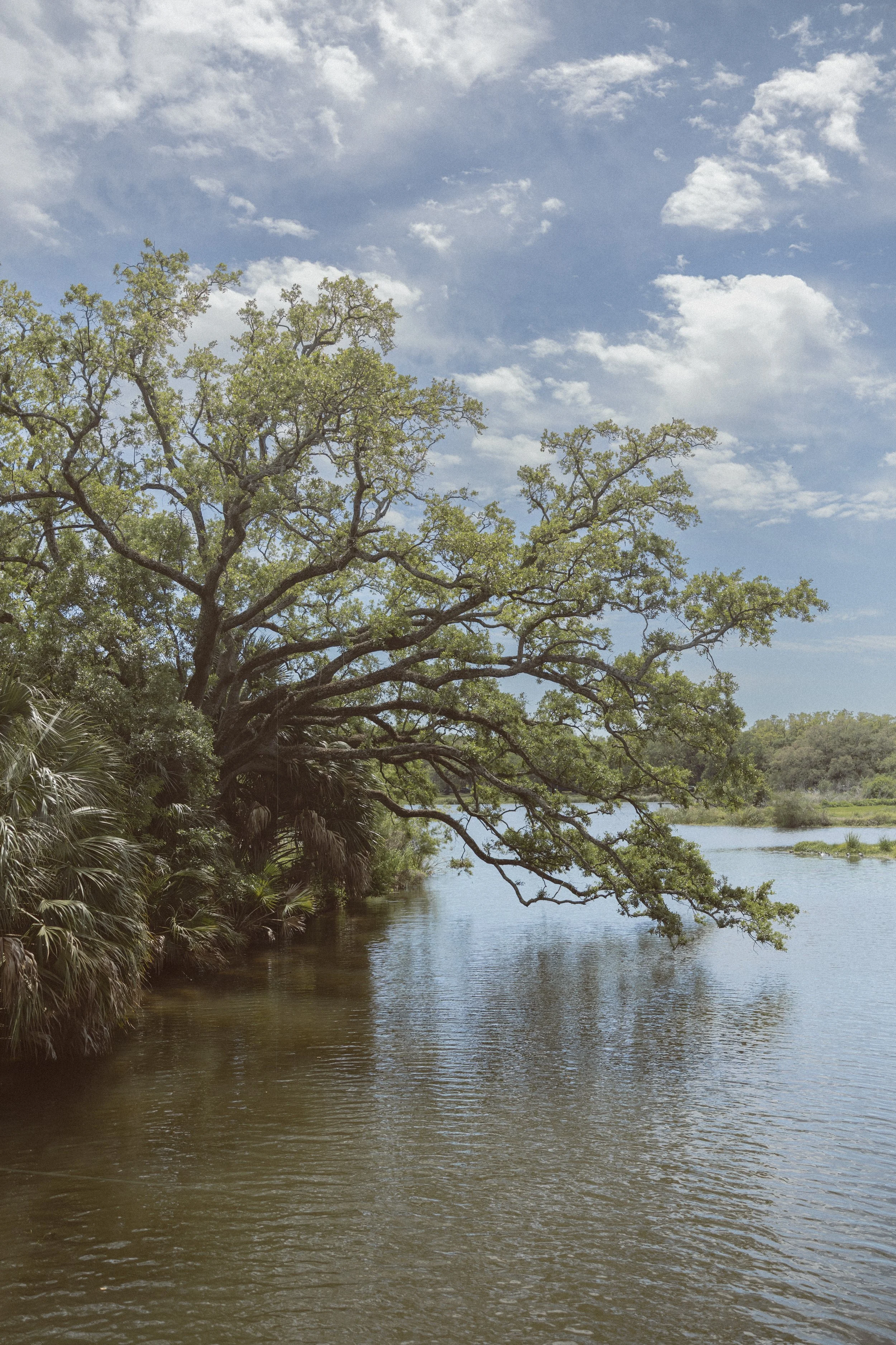 New Orleans 2026_130.JPG