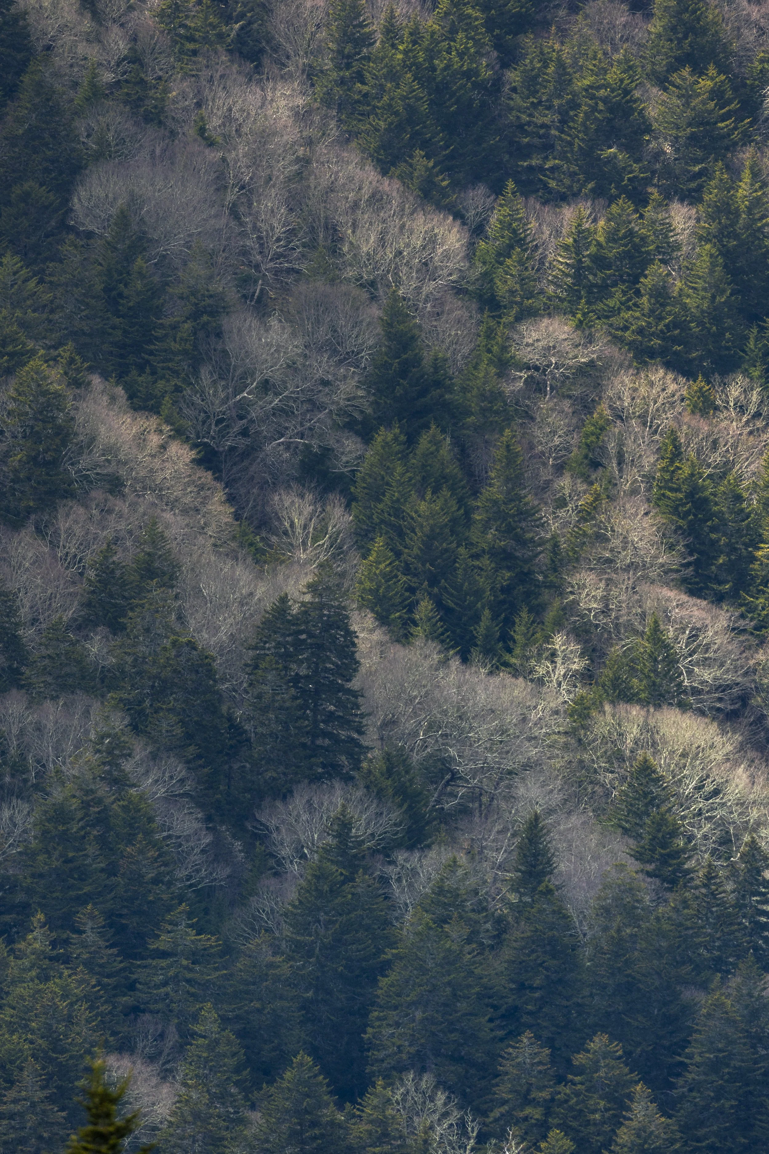 Mountains Spring 26_68.JPG