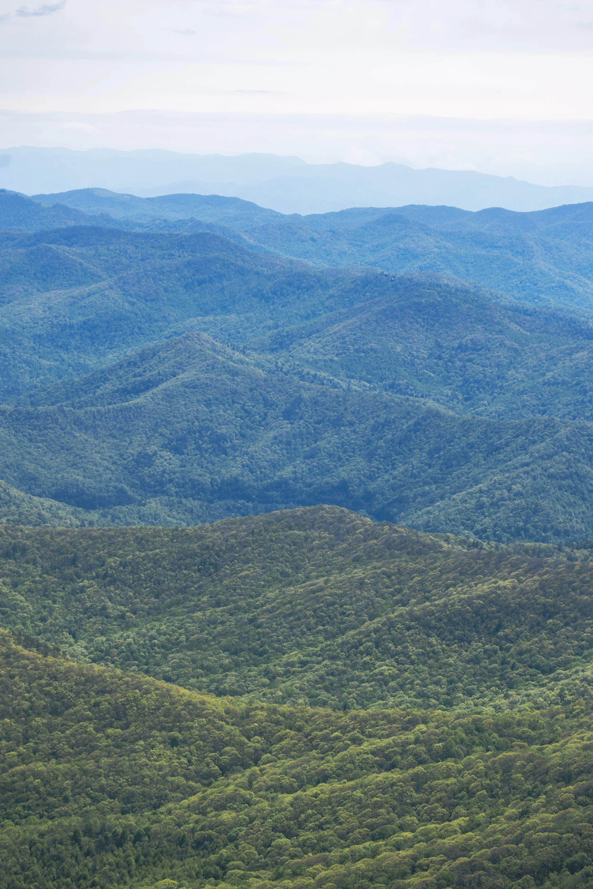 Mountains Spring 26_135.JPG