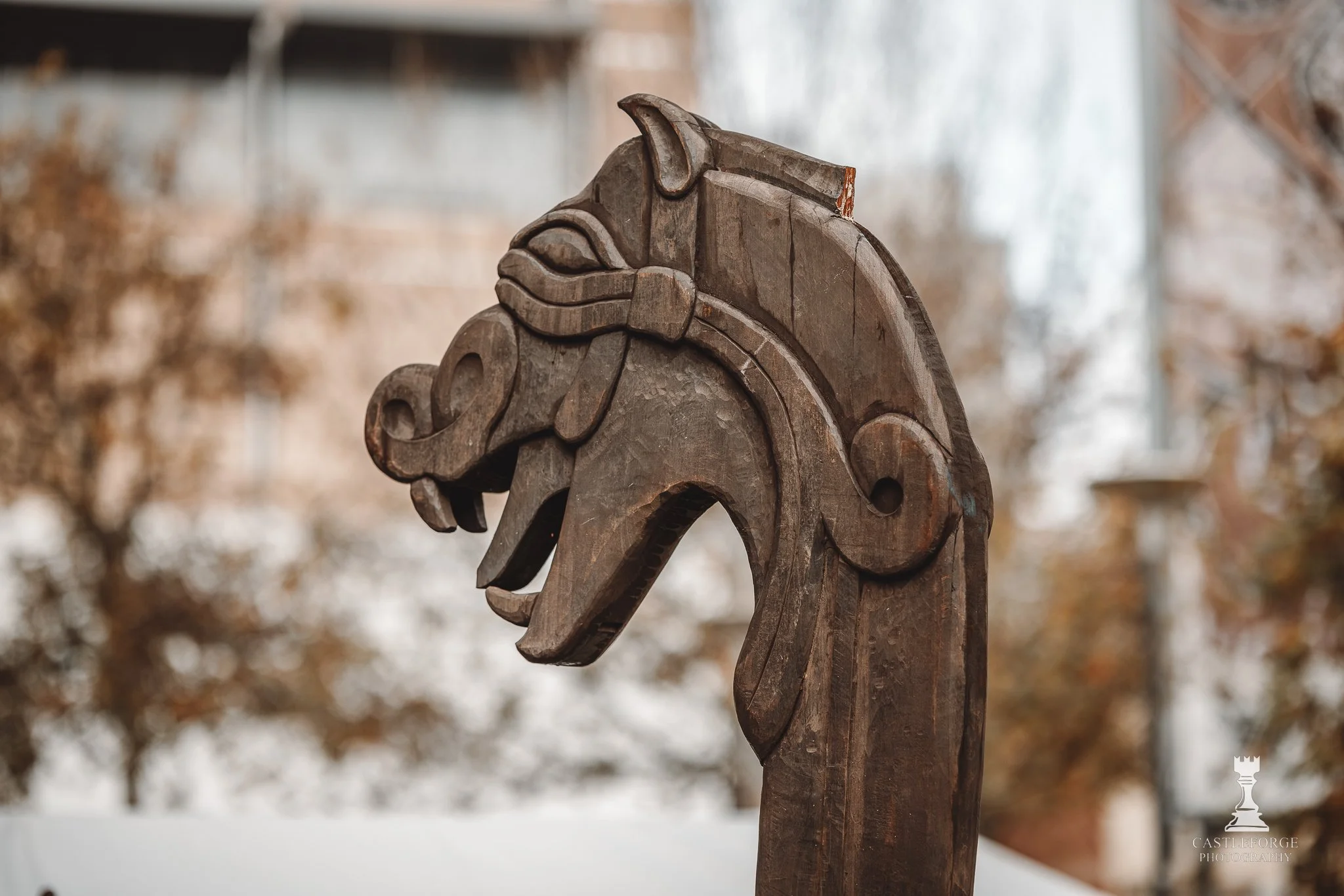 Viking Fest (Castleforge Photography 2025)-25.jpg