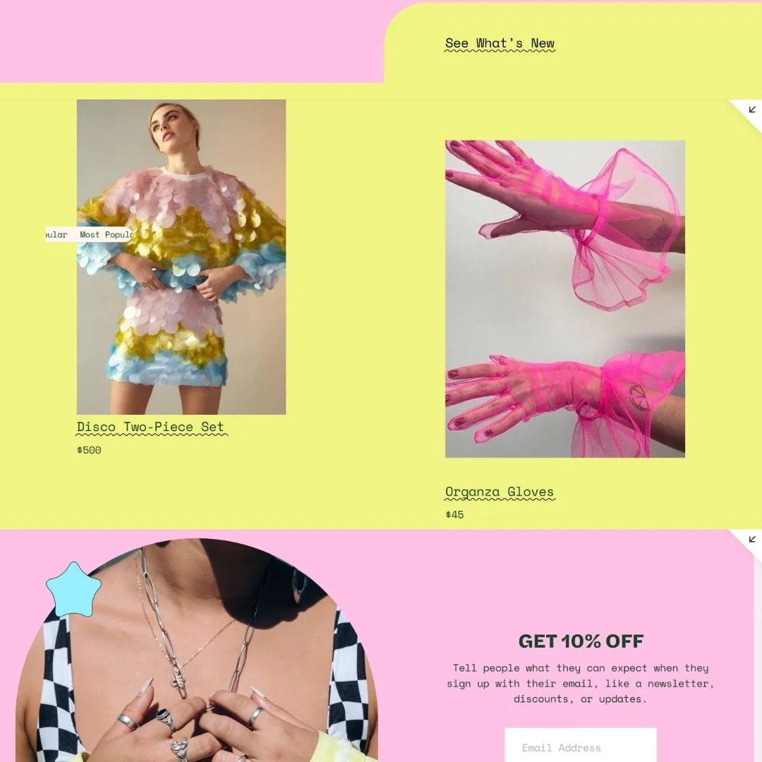 Website Homepage