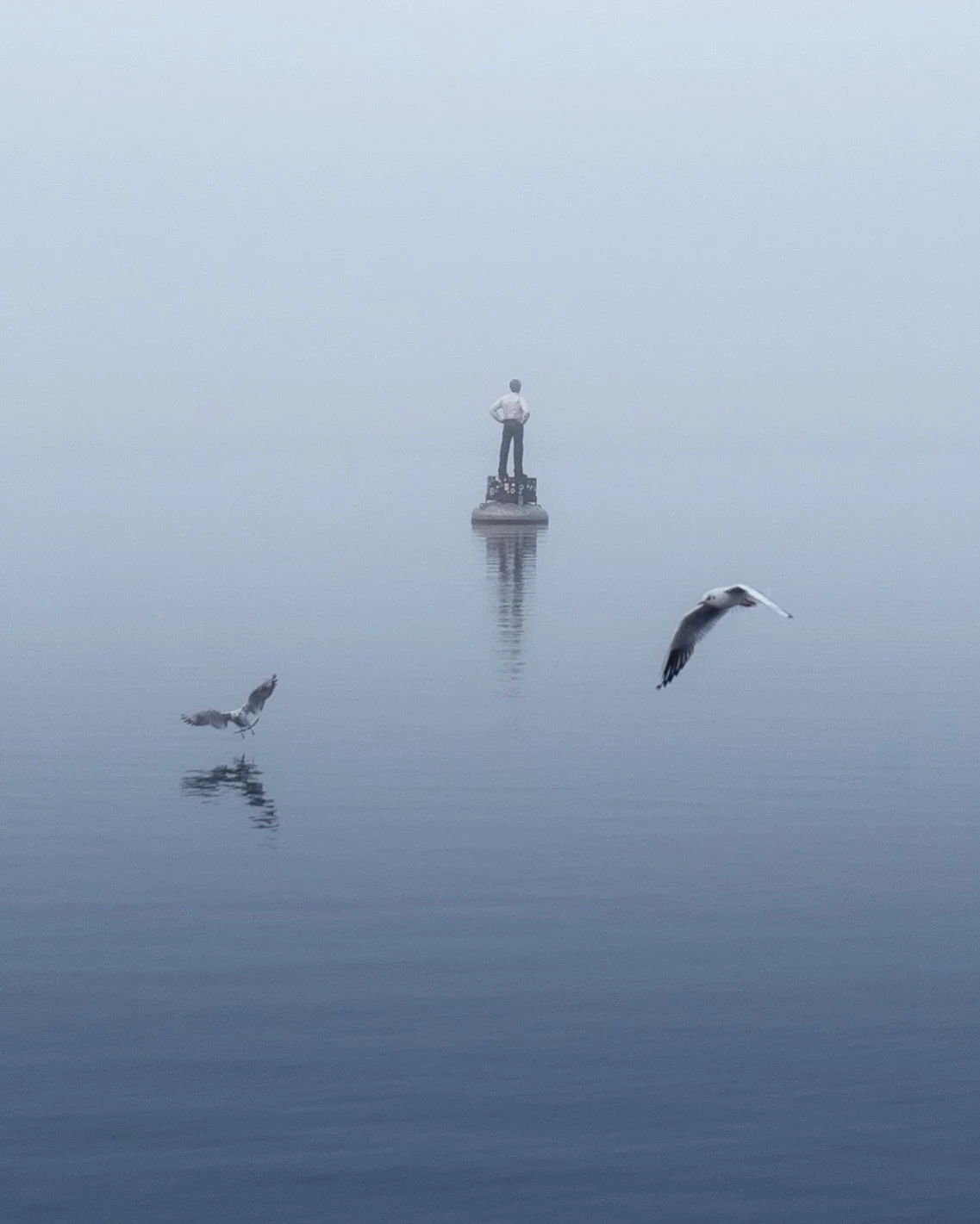 Reflections in Soft Silence | Hamburg | 2024

#streetphotography #leicacamera #LeicaCameraDE #🔴📷 #Leica #Hamburg #alster