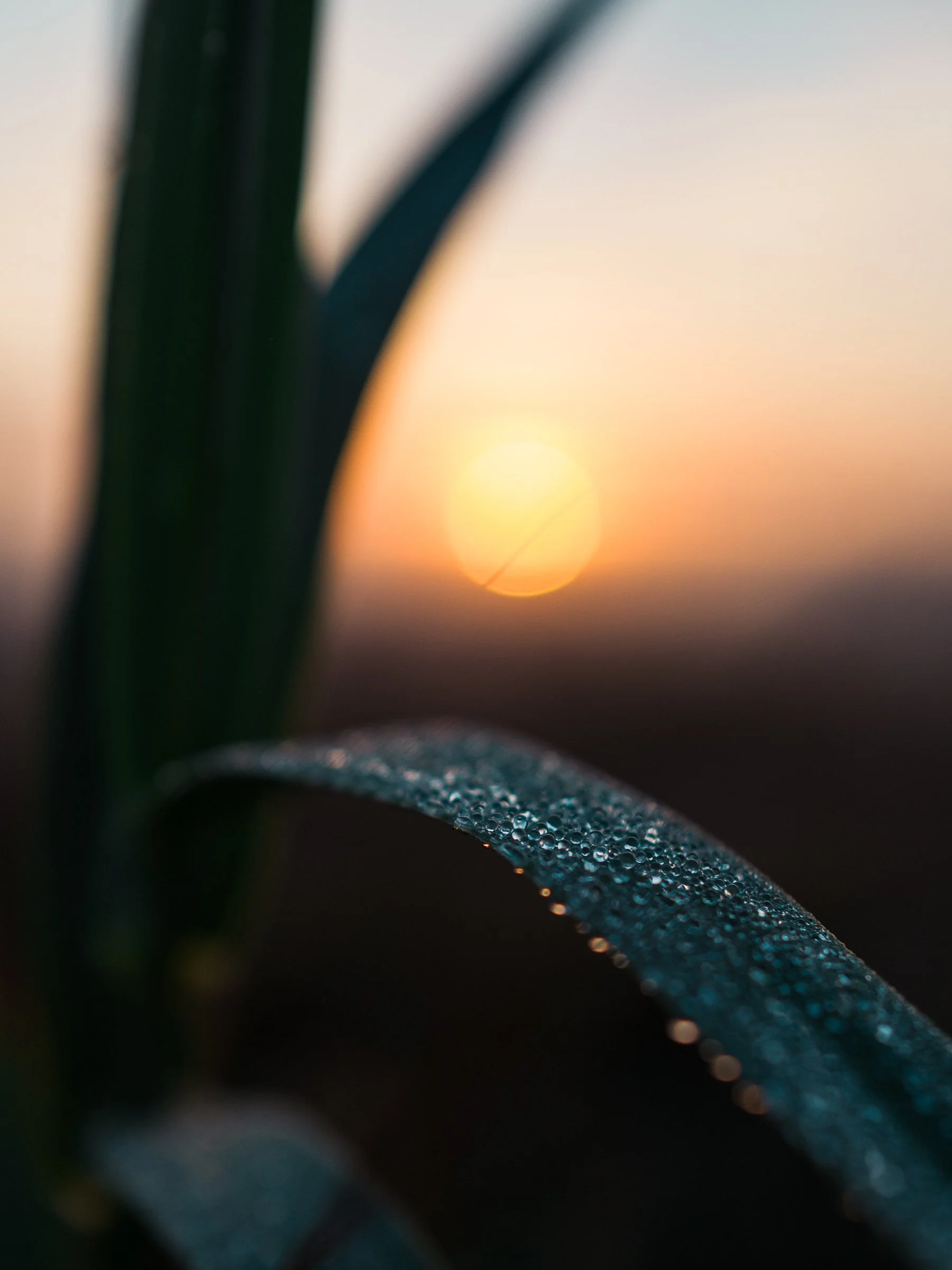 Between Night and Day