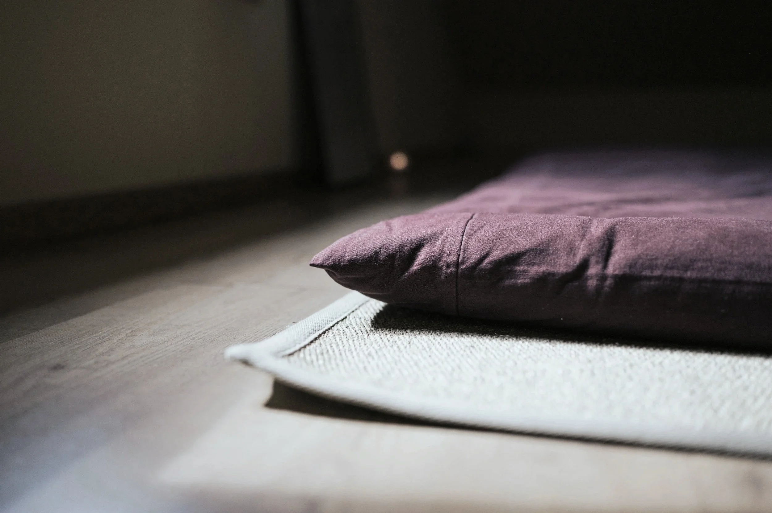 A purple pillow resting on a beige rug on a wooden floor.