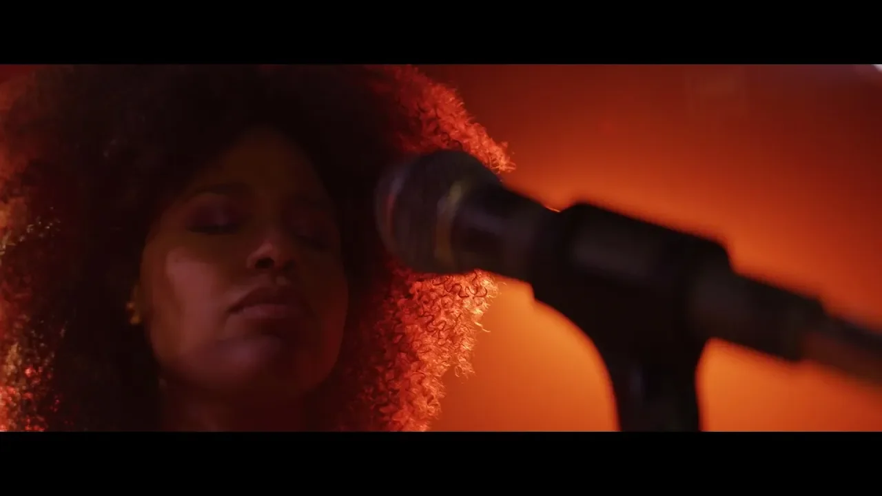 'Comb Back' is an editing project made with footage supplied by EditStock.com