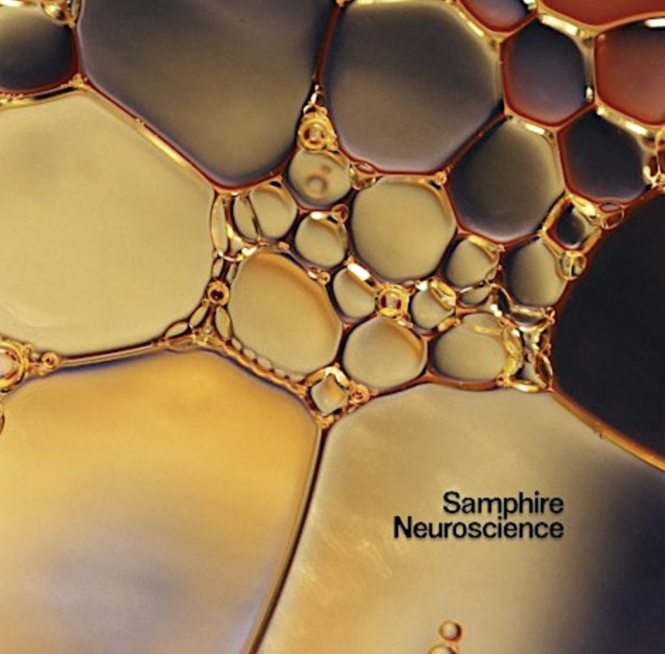 The Neuroscience of Menopause with Dr Emilė Radytė (Online)