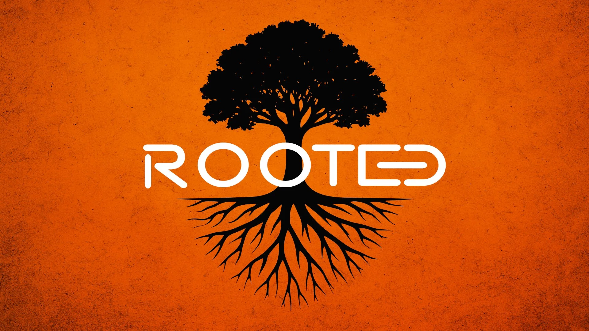 ROOTED TEACHING SERIES