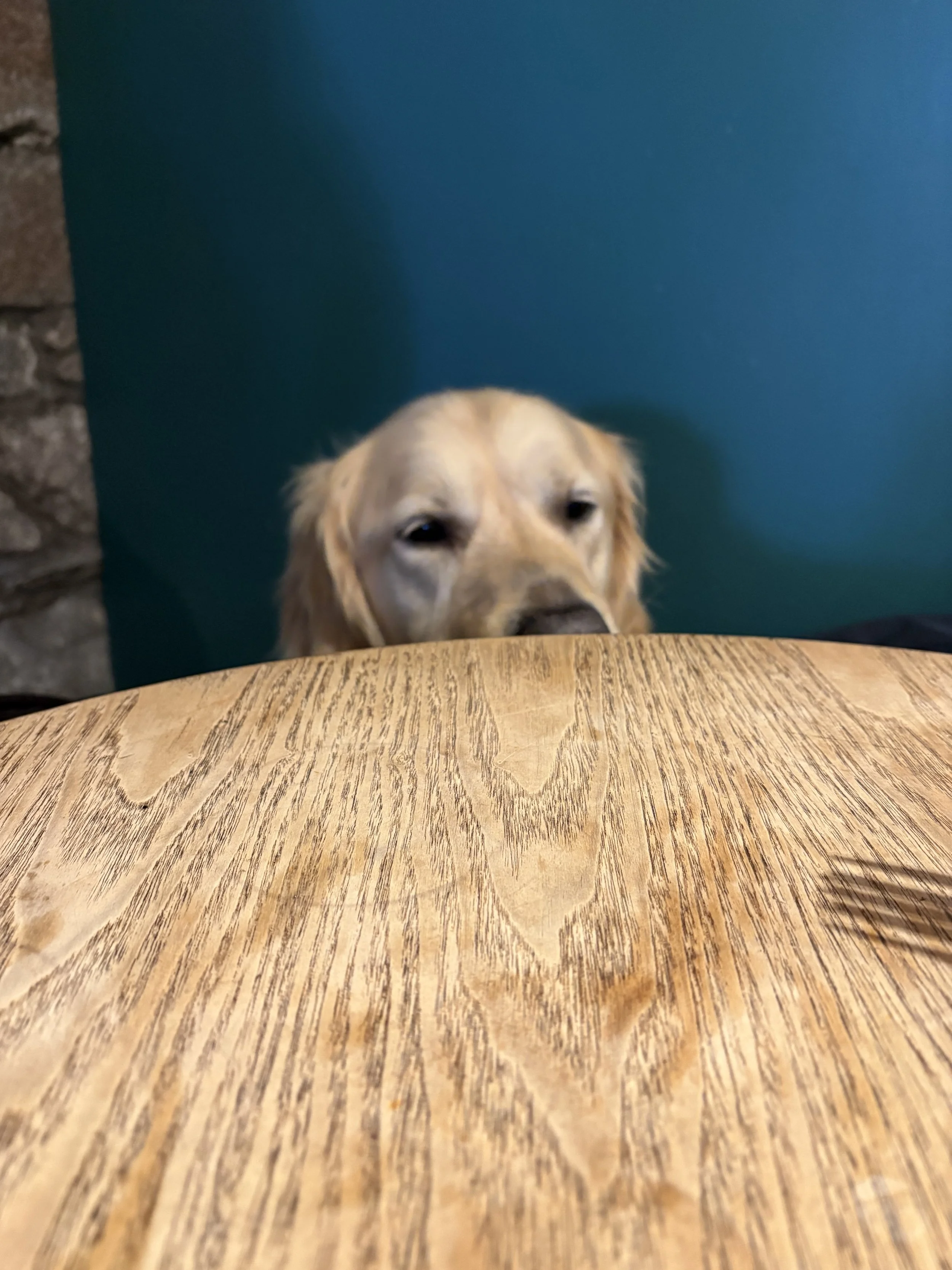 Why are they not responding?!