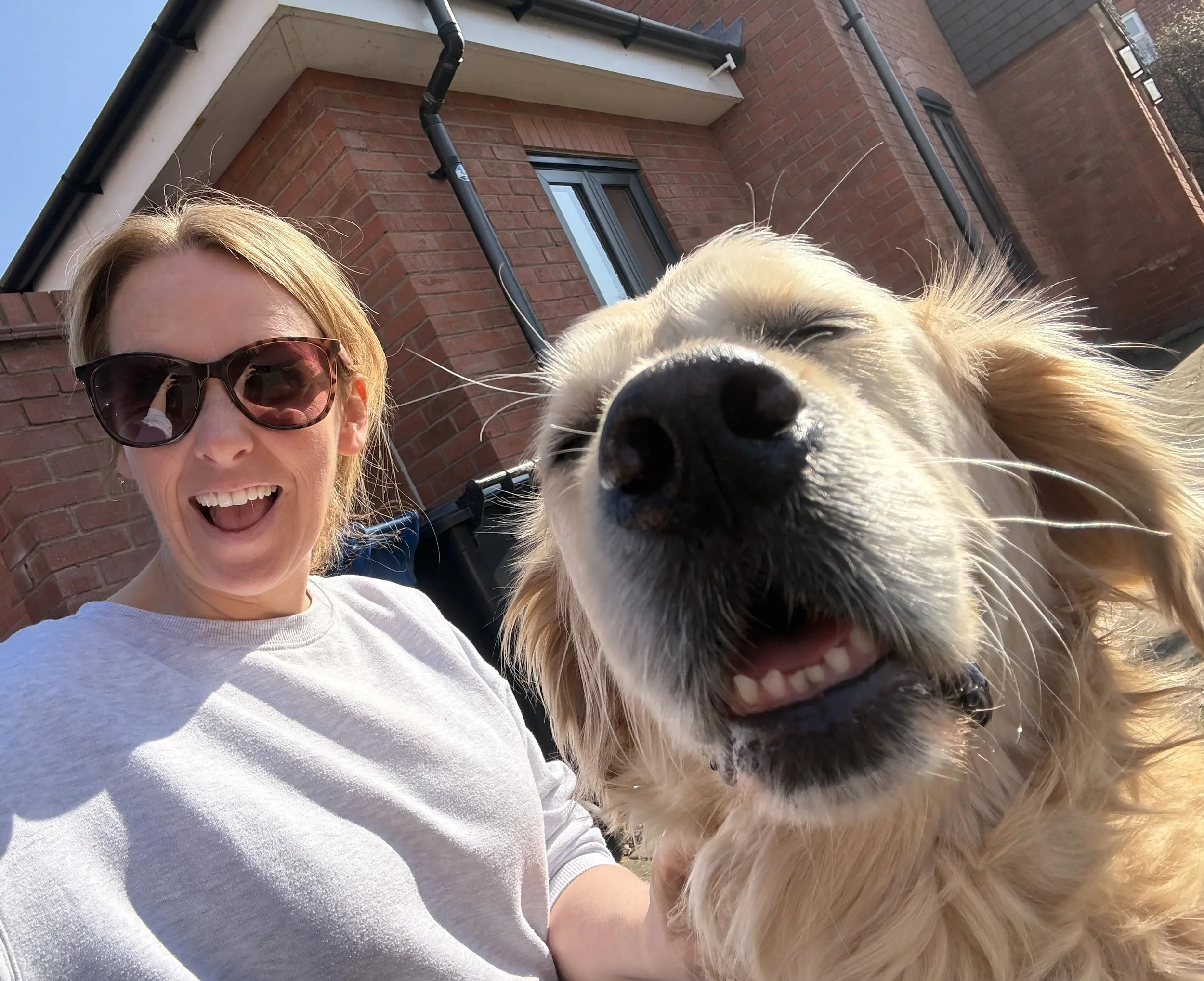 Refined or confined?