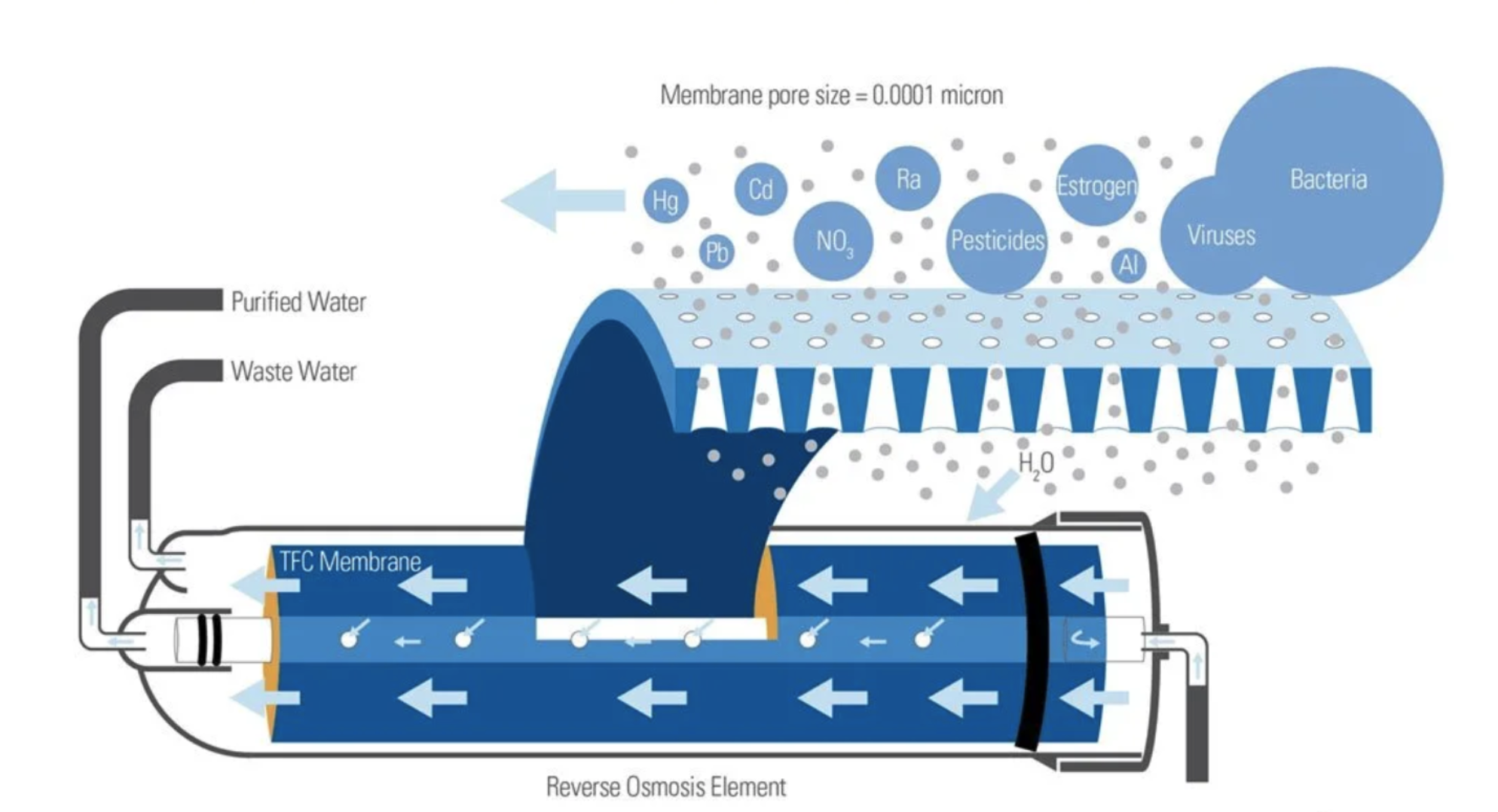 Diagram of a reverse osmosis water filtration system showing purified water, waste water flow, TFC membrane, and removal of contaminants like bacteria, viruses, pesticides, and heavy metals.