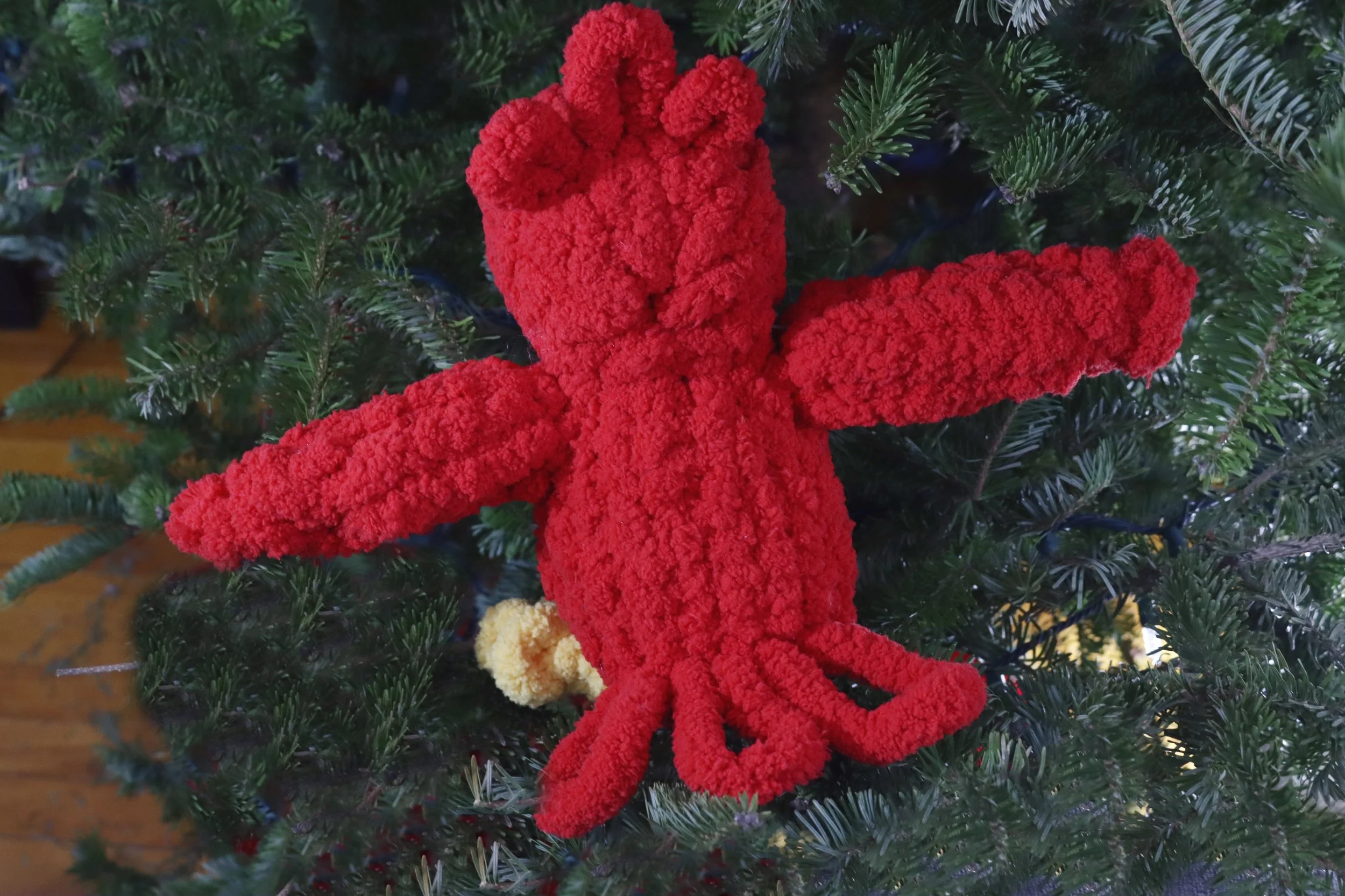 DKD Blaze Back Full.jpg