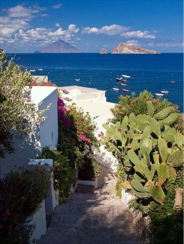 Vista di un sentiero che scende verso il mare, fiori e piante verdi lungo i lati, con il mare e alcune isole sullo sfondo, cielo blu con nuvole.