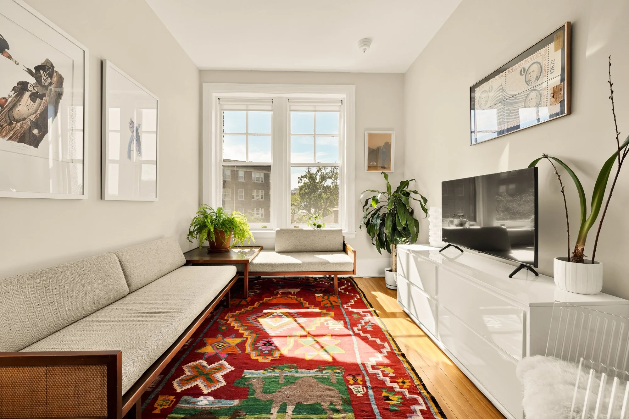 Bright living room with beige sofa, colorful patterned rug, plants, white TV stand, flat-screen TV, framed artwork, and large window.