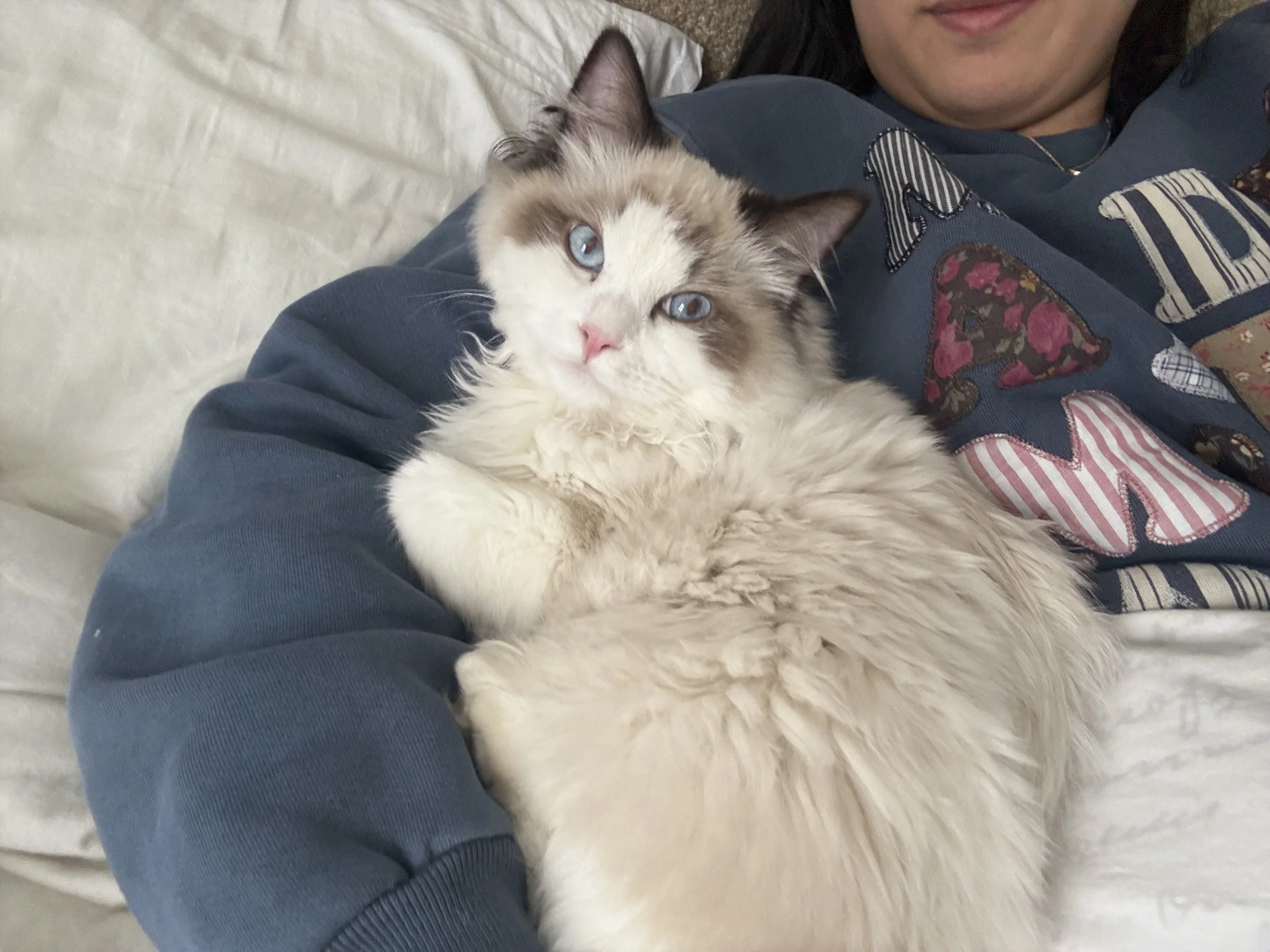 Simba