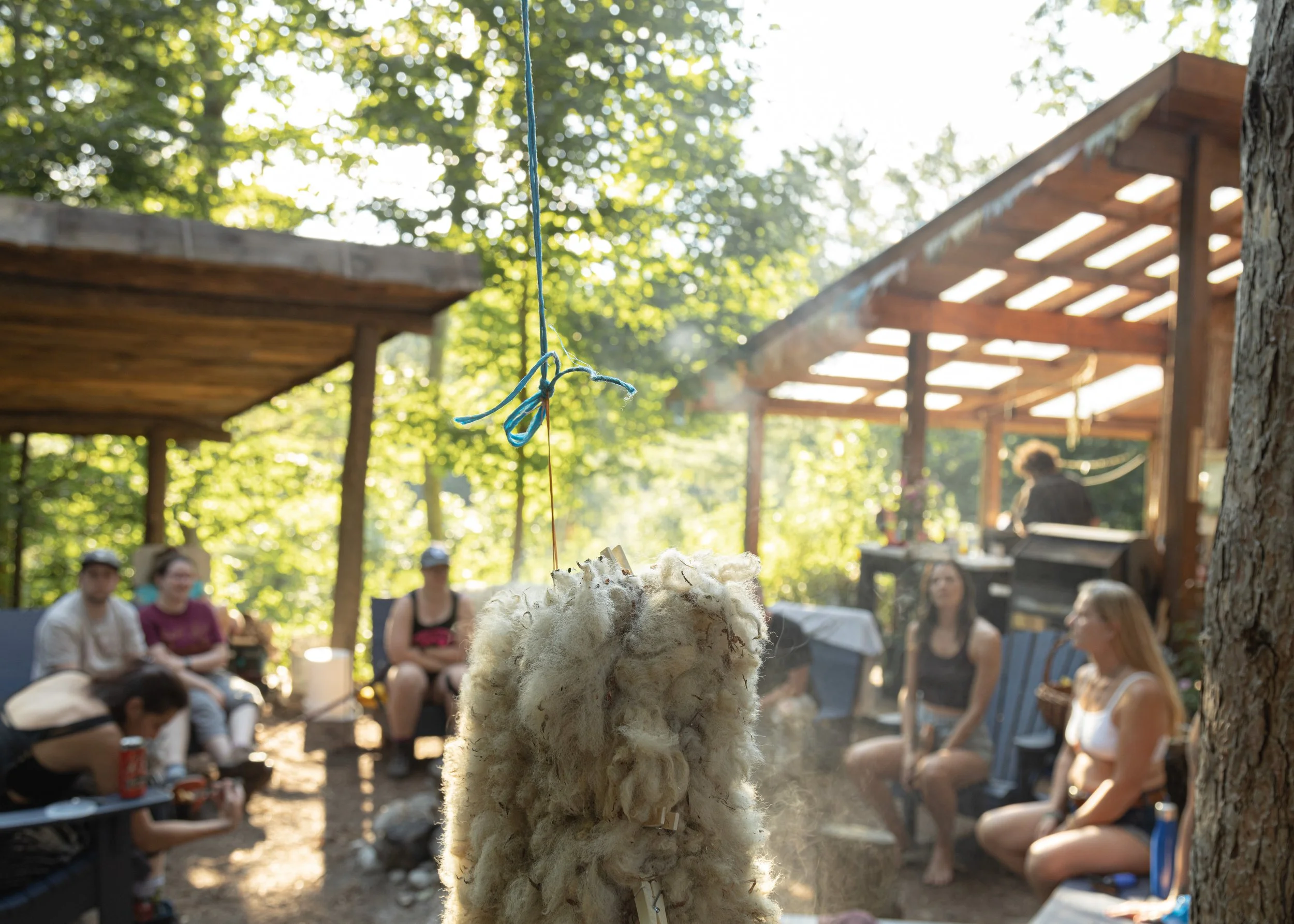 Sheep Tanning July 2024-1.jpg